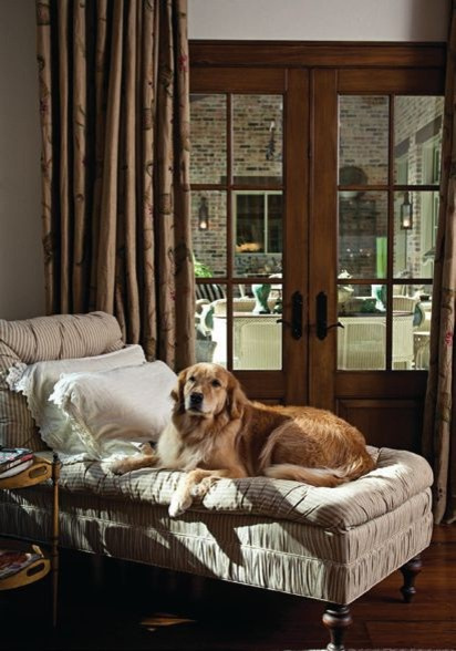 Собака в доме: Как сохранить красоту и порядок