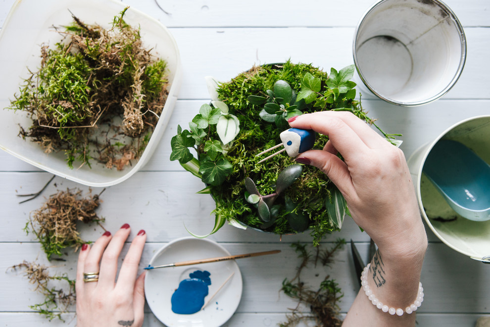 DIY: Как вырастить бонсай в домашних условиях