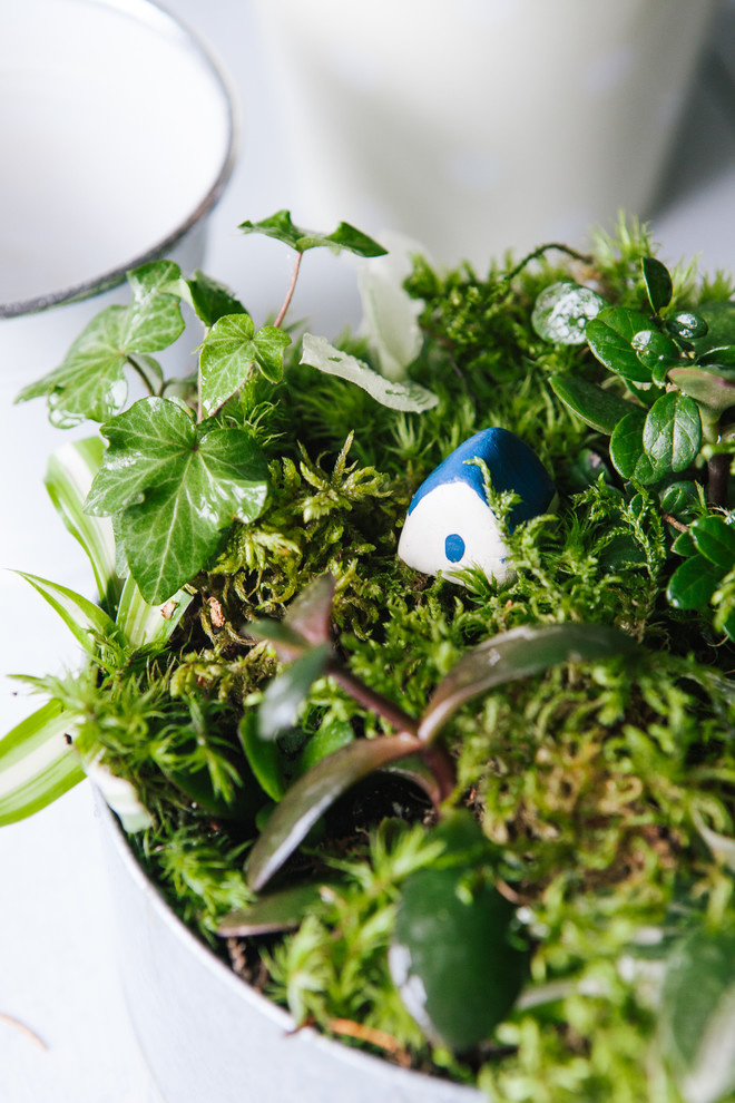 DIY: Как вырастить бонсай в домашних условиях