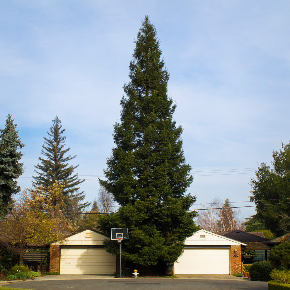 Ситуация на границе: Как выглядят ваши отношения с соседями со стороны?