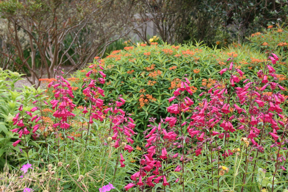 Цветы на даче: 9 стратегий дизайна клумбы