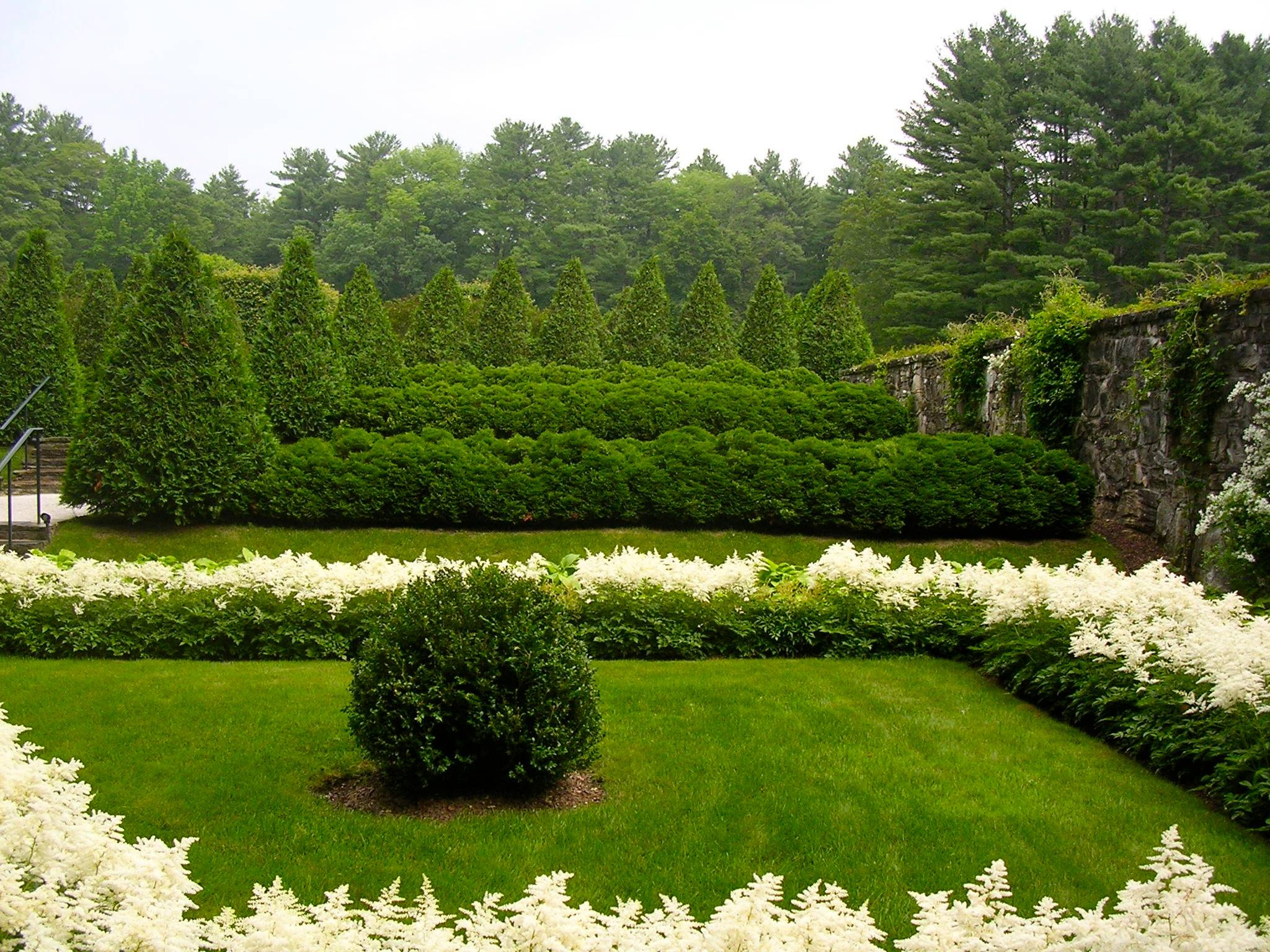 Цветы на даче: 9 стратегий дизайна клумбы