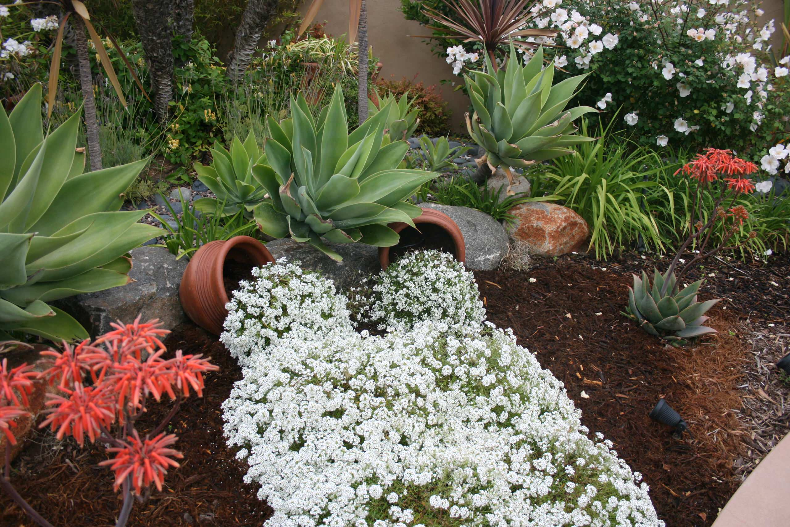 Цветы на даче: 9 стратегий дизайна клумбы