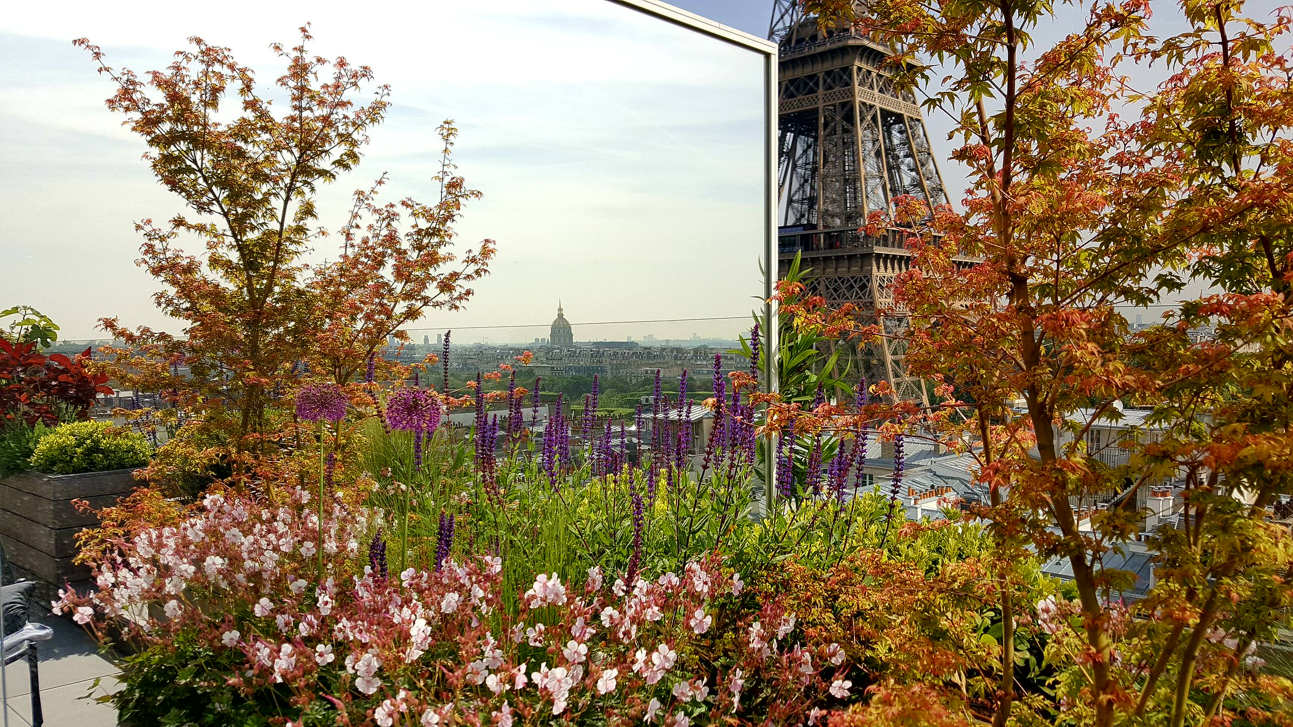 Мнение: Будущее городского озеленения