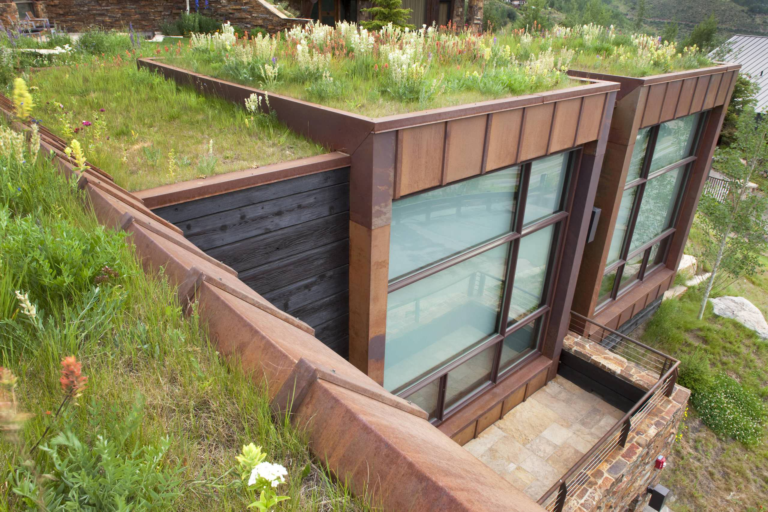 Мнение: Будущее городского озеленения