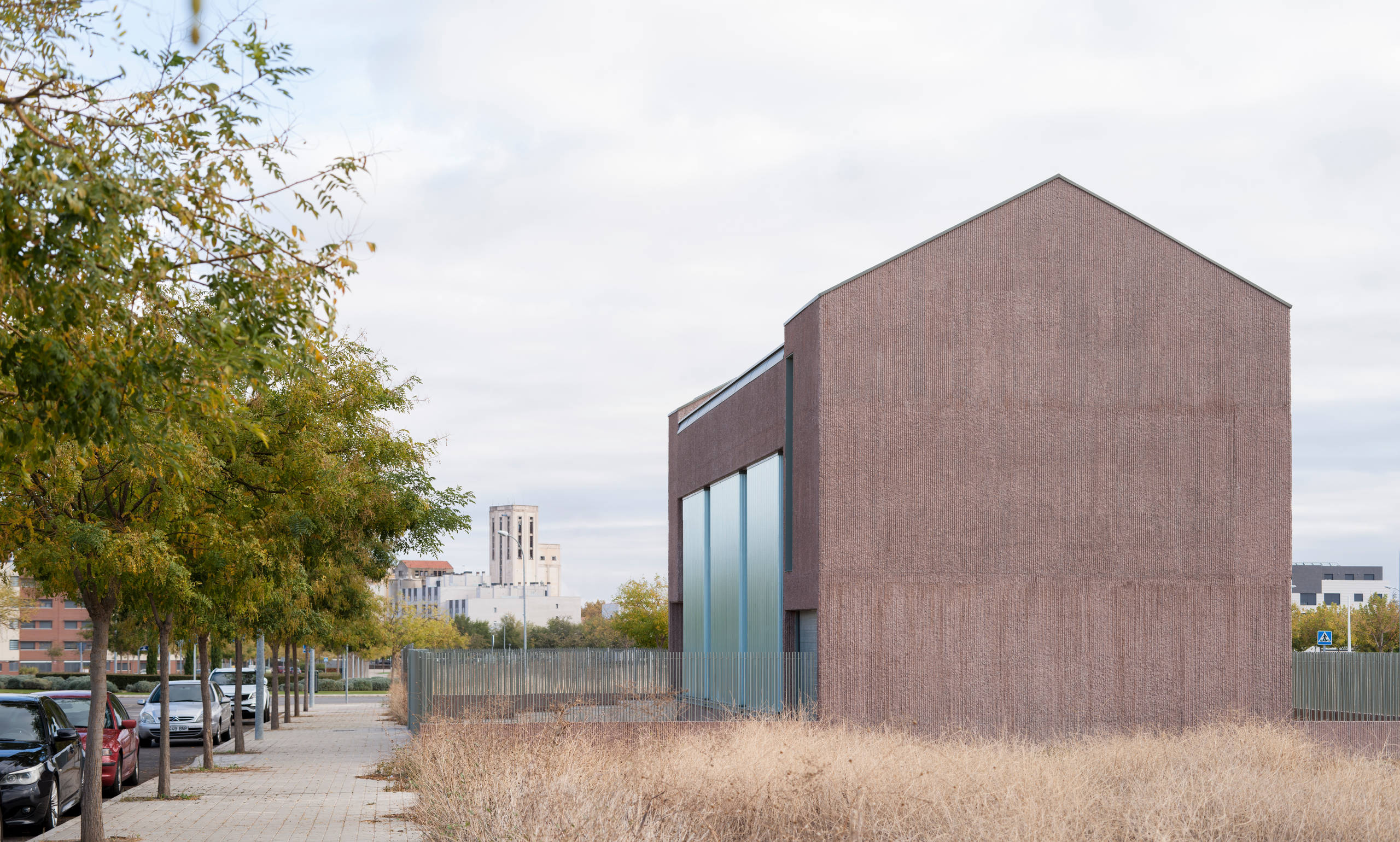 Мнение: Будущее городского озеленения