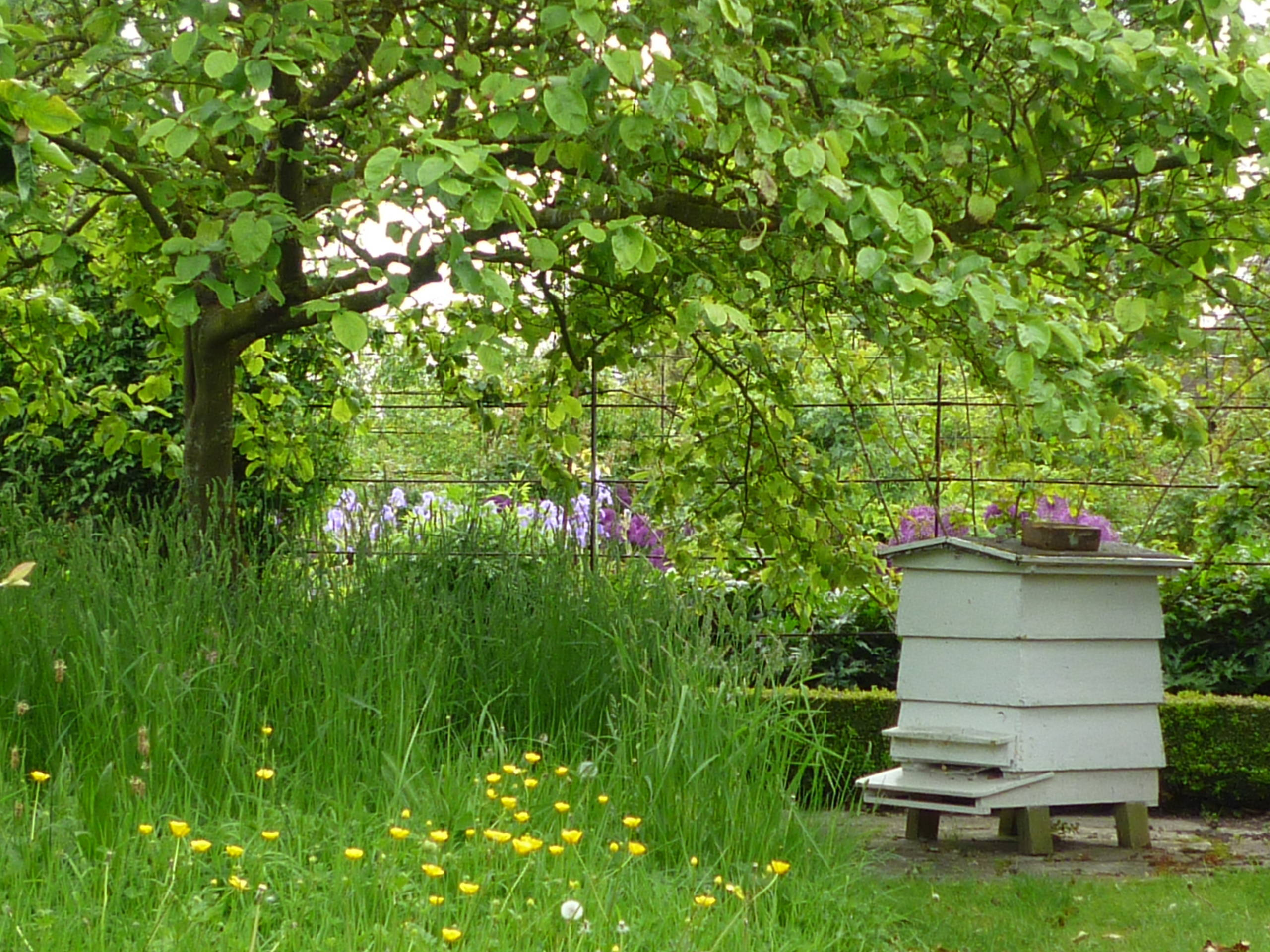 Природное земледелие на садовом участке: Что делать, что нет