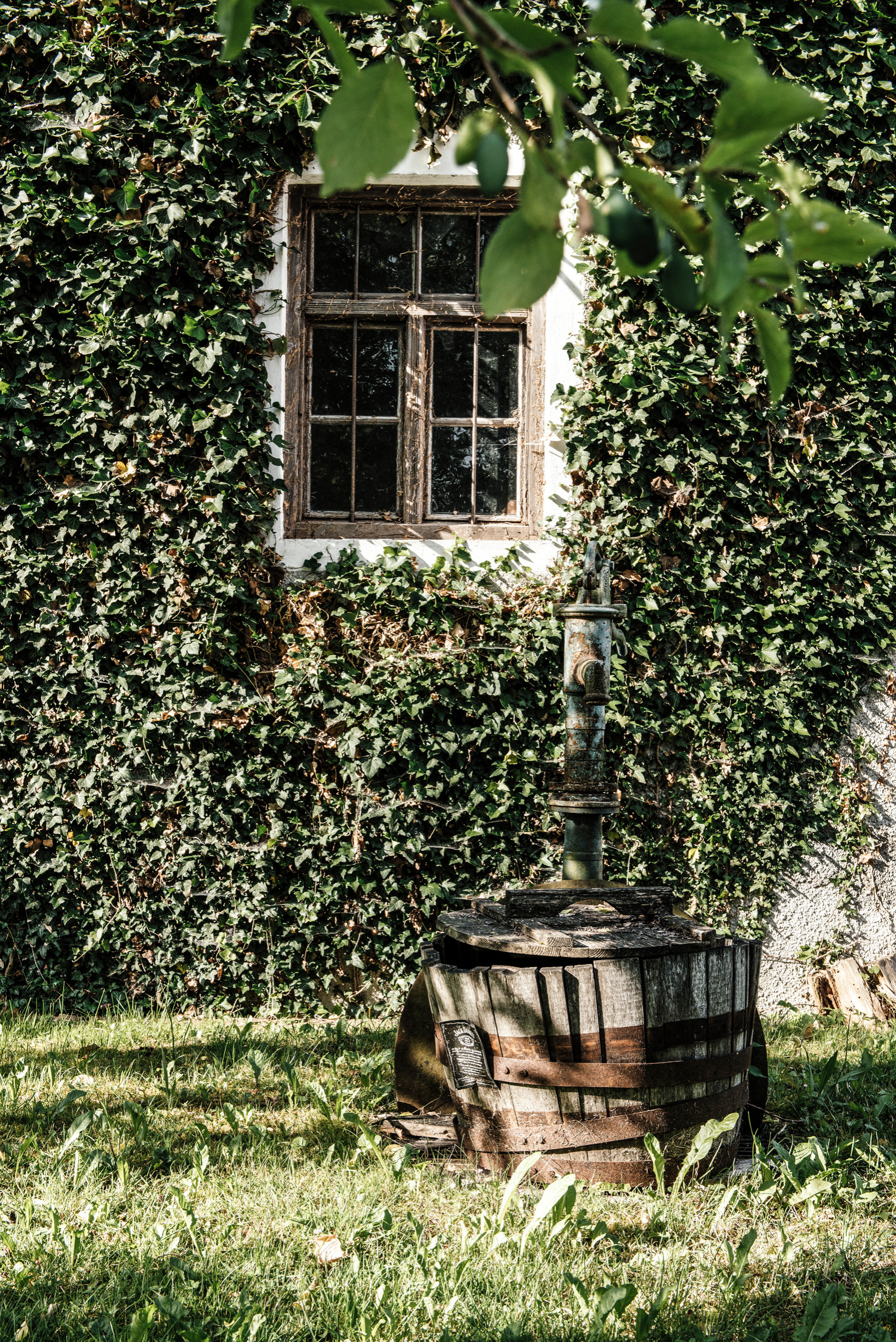 Houzz Германия: Новая жизнь баварской фермы