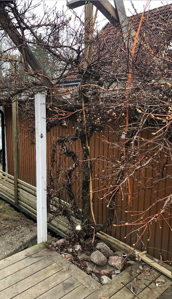 До и после: Летний душ и калитка в сад