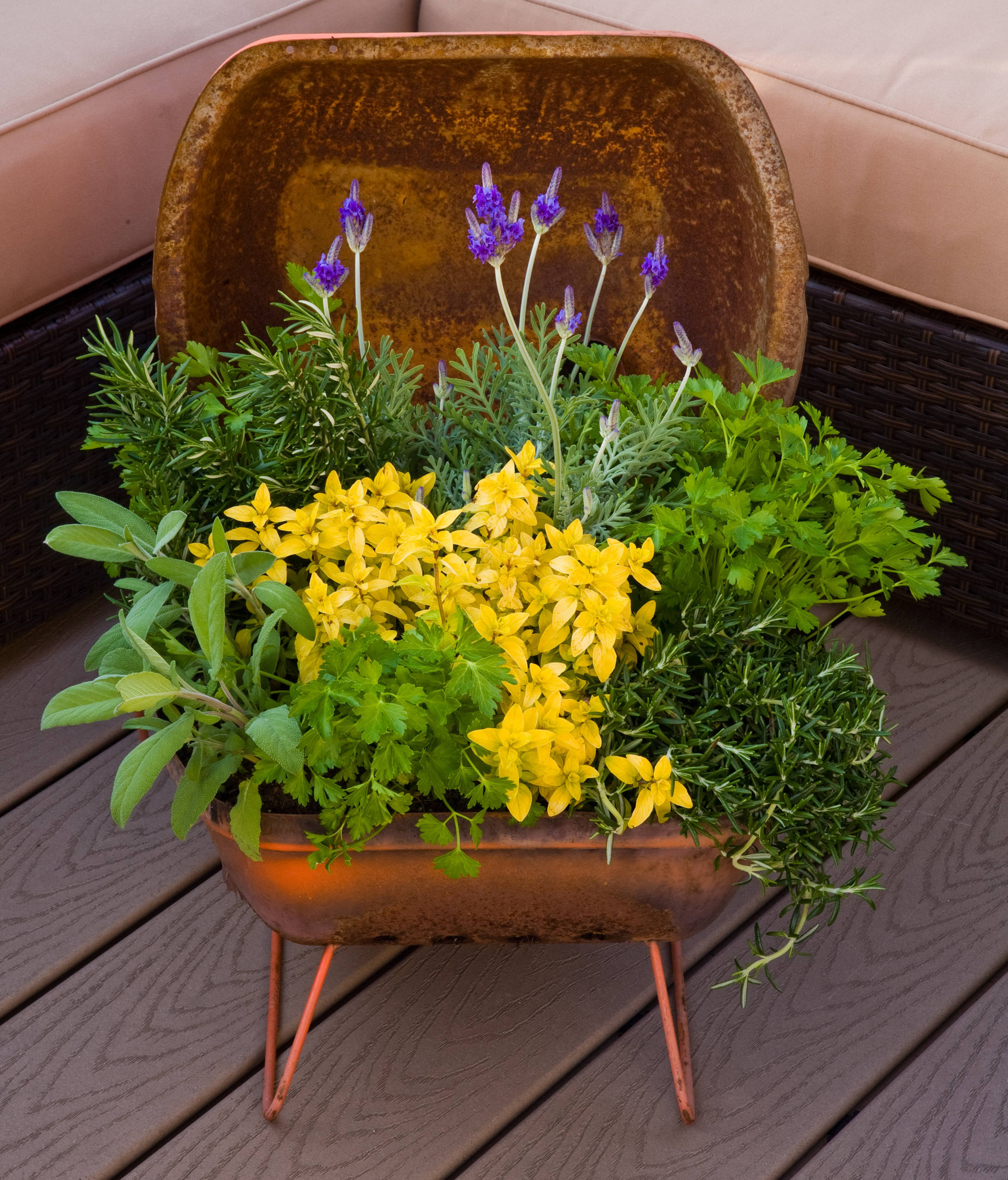 На блюдечке с каемочкой: 12 идей нестандартного применения посуды