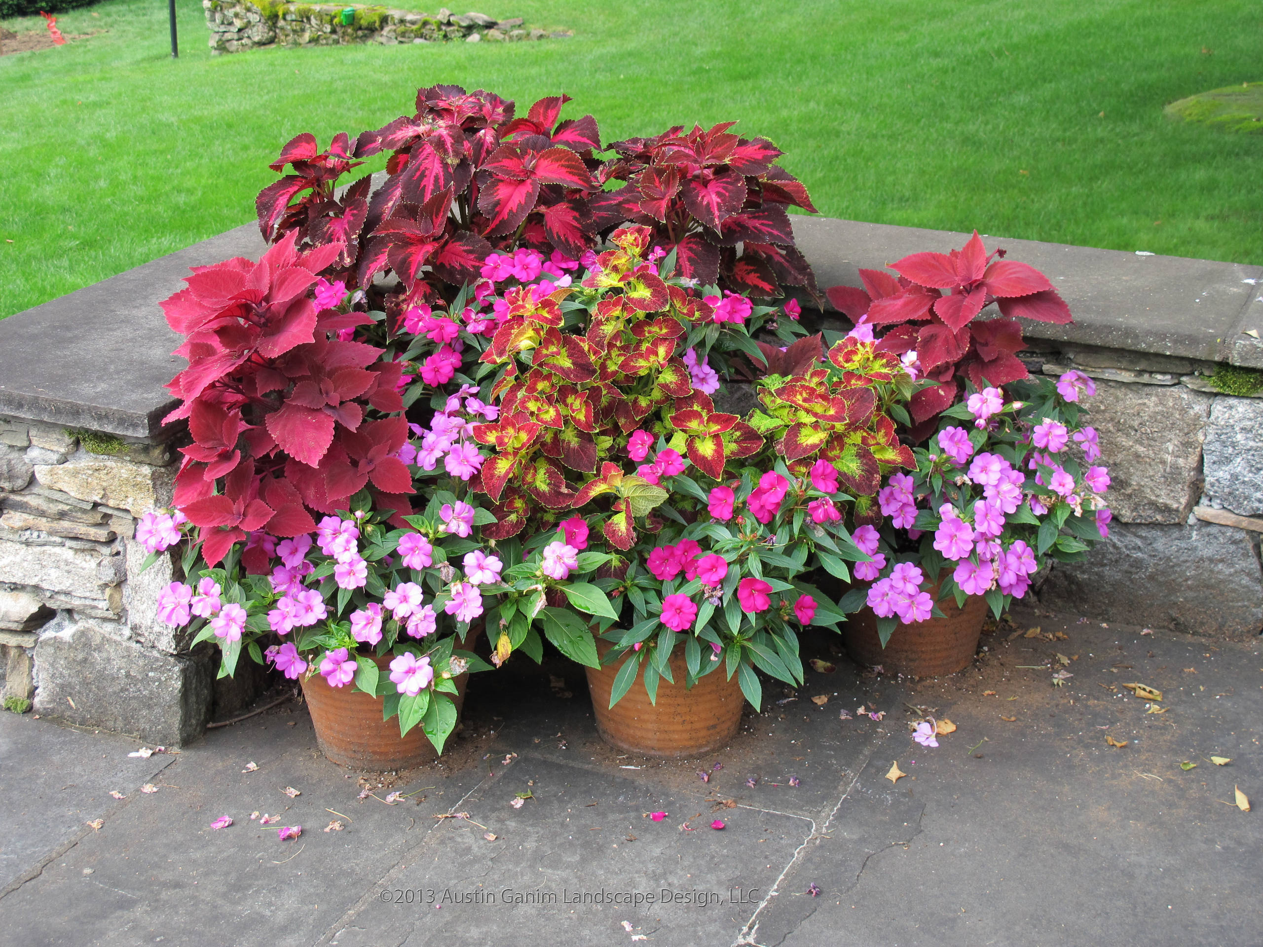 Вот и лето прошло: Что делать с растениями и уличными кашпо по осени