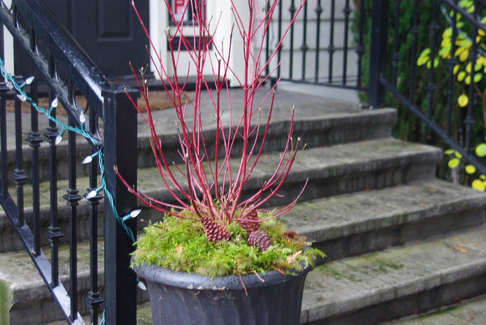 Вот и лето прошло: Что делать с растениями и уличными кашпо по осени