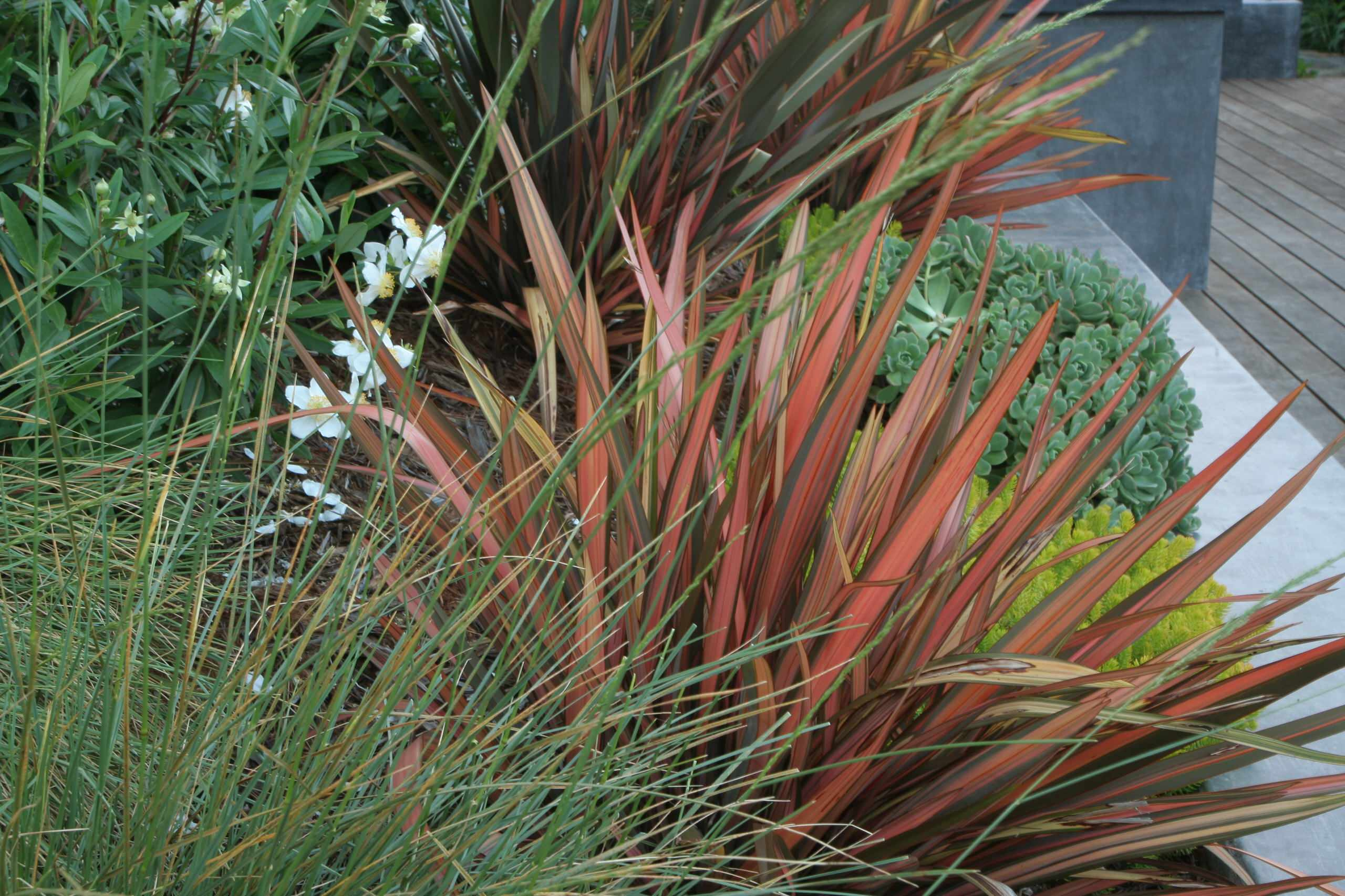 Вот и лето прошло: Что делать с растениями и уличными кашпо по осени