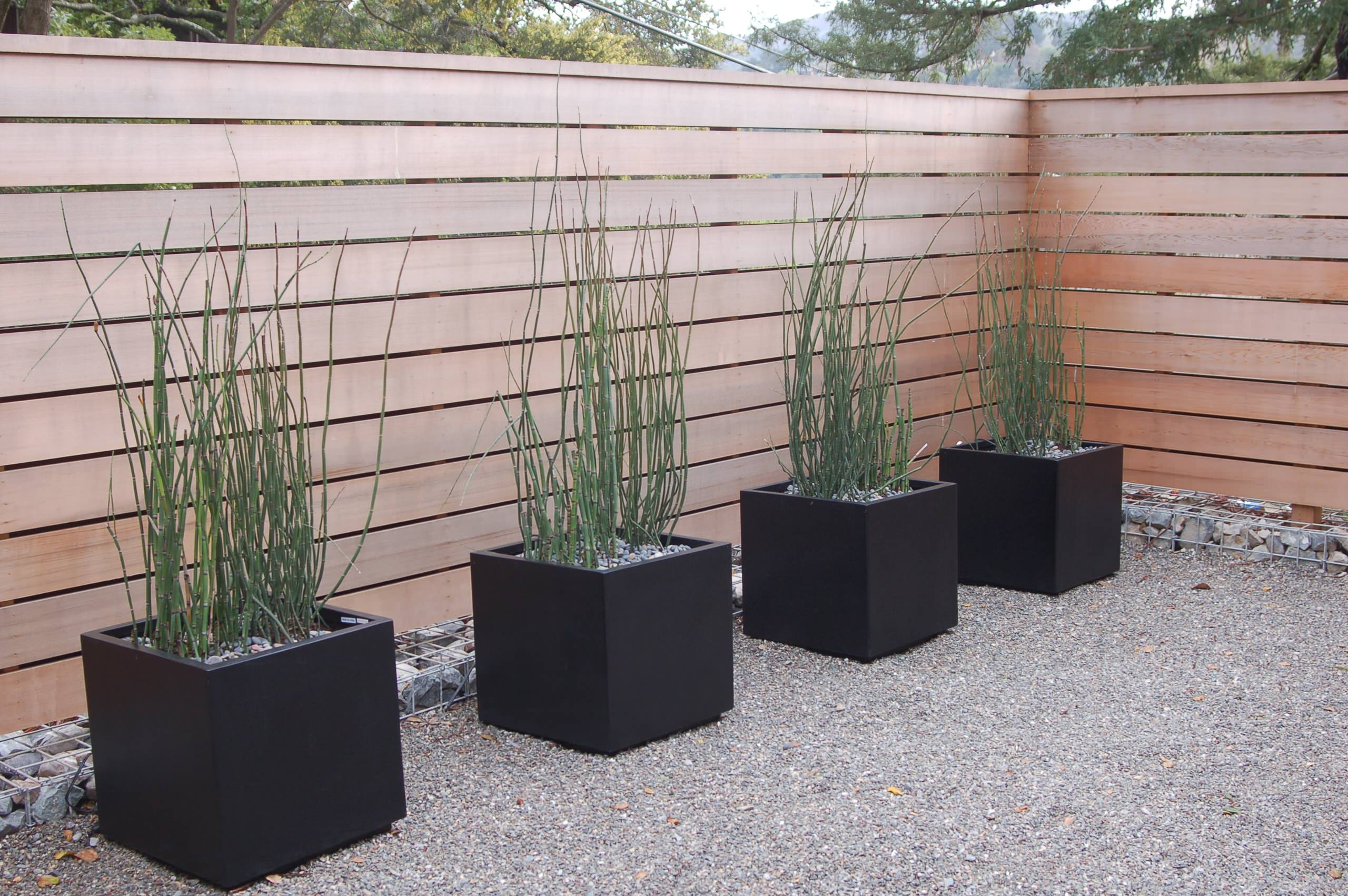 Вот и лето прошло: Что делать с растениями и уличными кашпо по осени