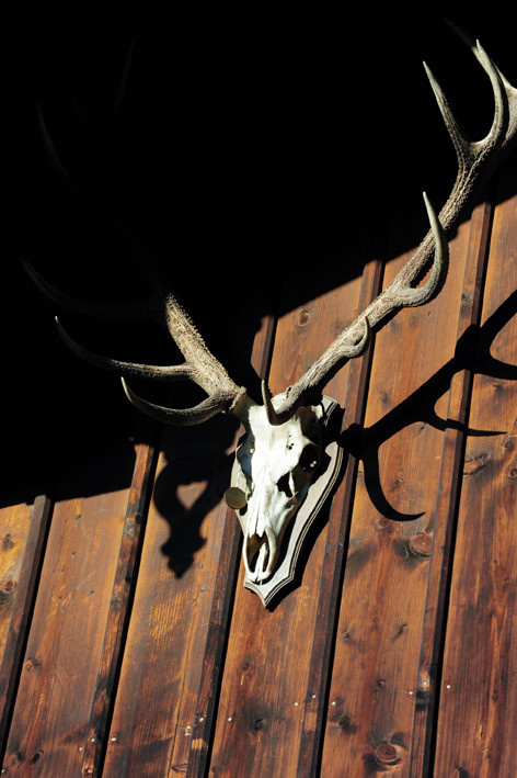 Houzz Германия: Райский уголок в Верхней Баварии