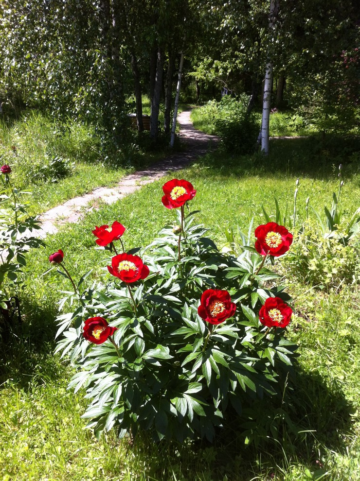 В гостях: Сад на выходные для родителей