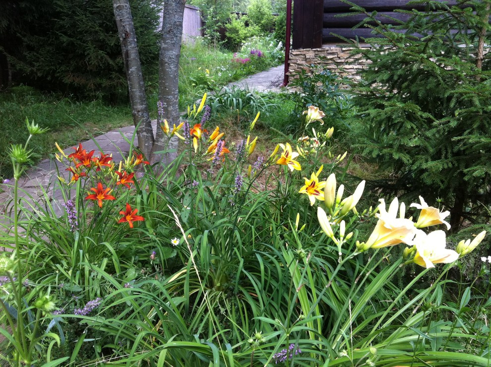 В гостях: Сад на выходные для родителей