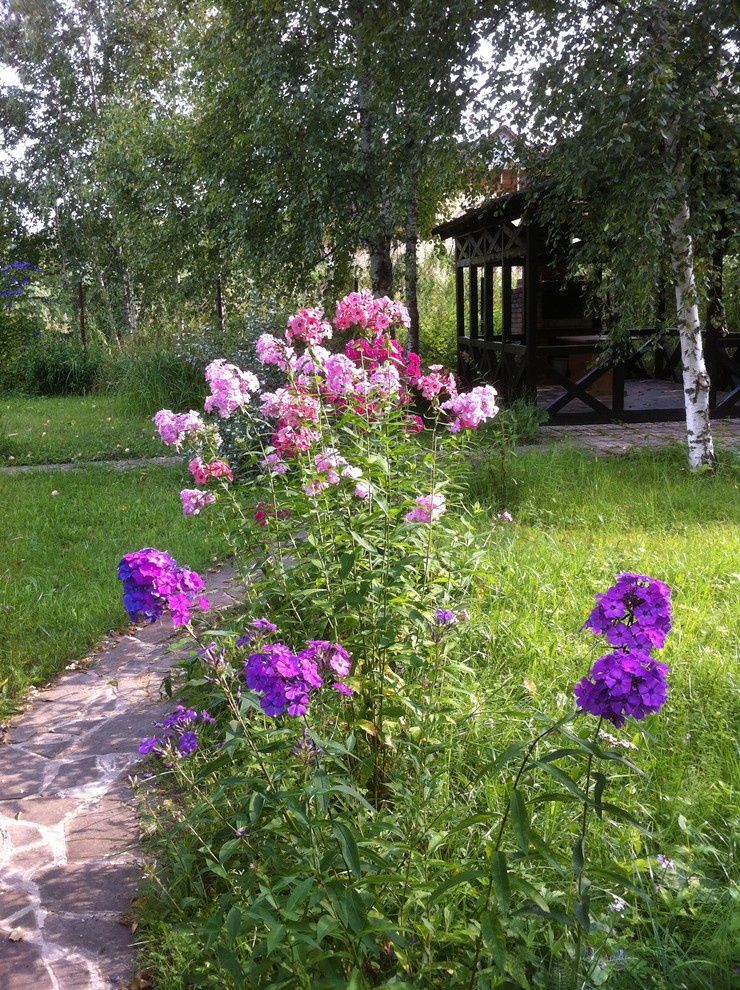 В гостях: Сад на выходные для родителей