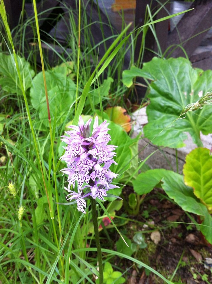В гостях: Сад на выходные для родителей