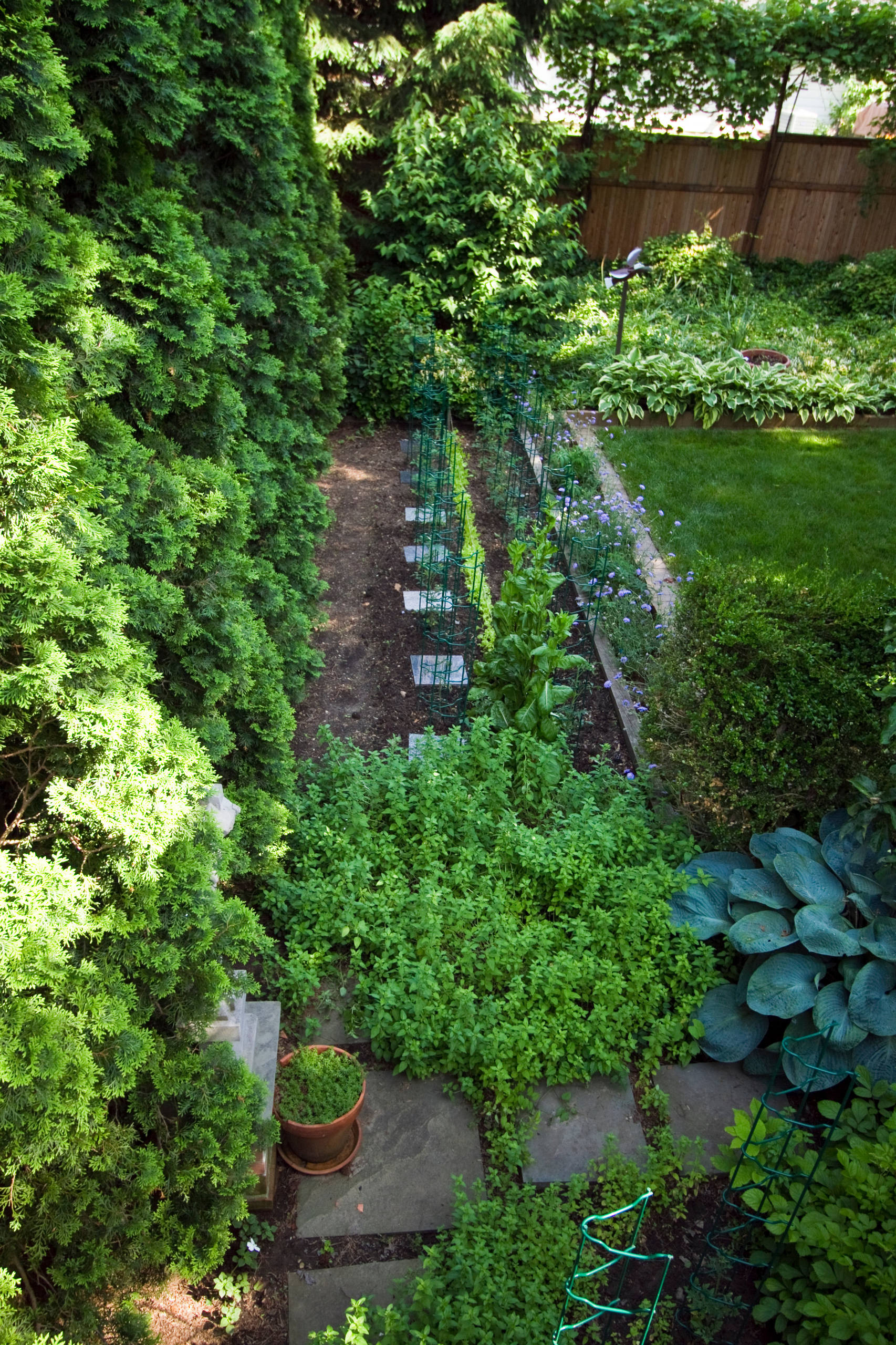 Секретный сад: Превращаем участок в оазис уединения