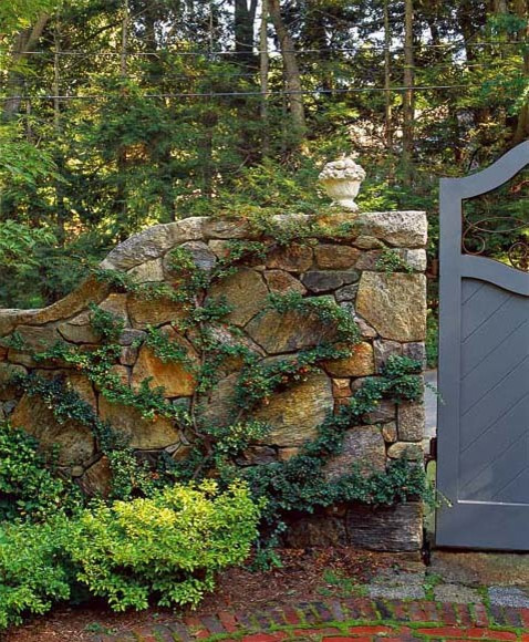 Секретный сад: Превращаем участок в оазис уединения