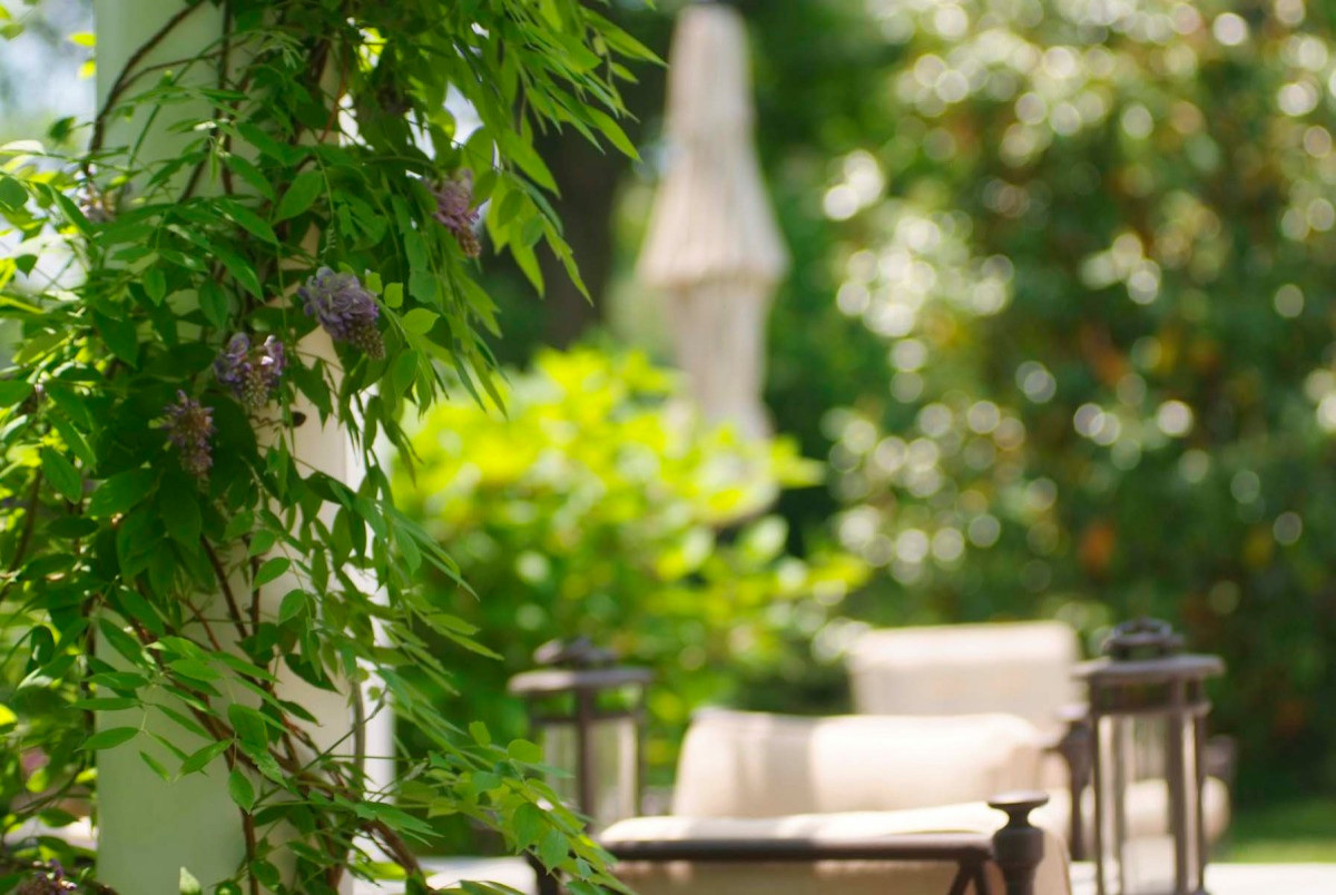 Секретный сад: Превращаем участок в оазис уединения