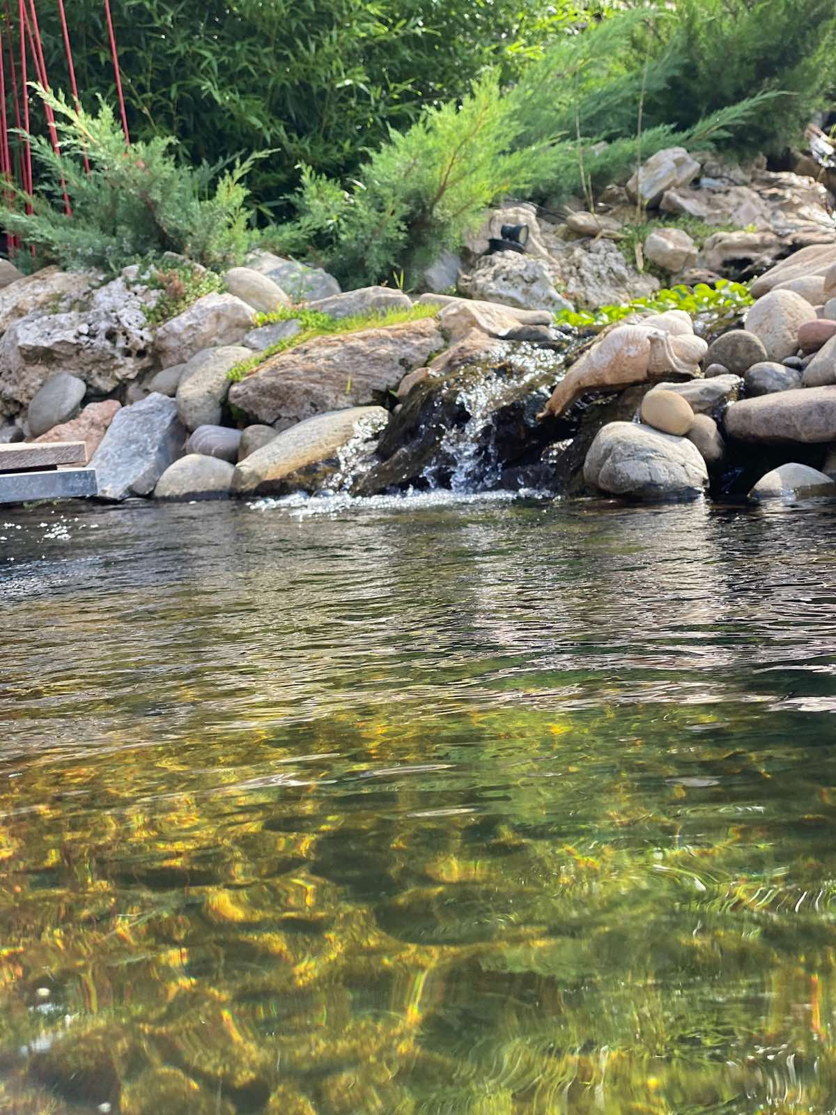 В гостях: Загадочный сад в Херсоне на 12 сотках