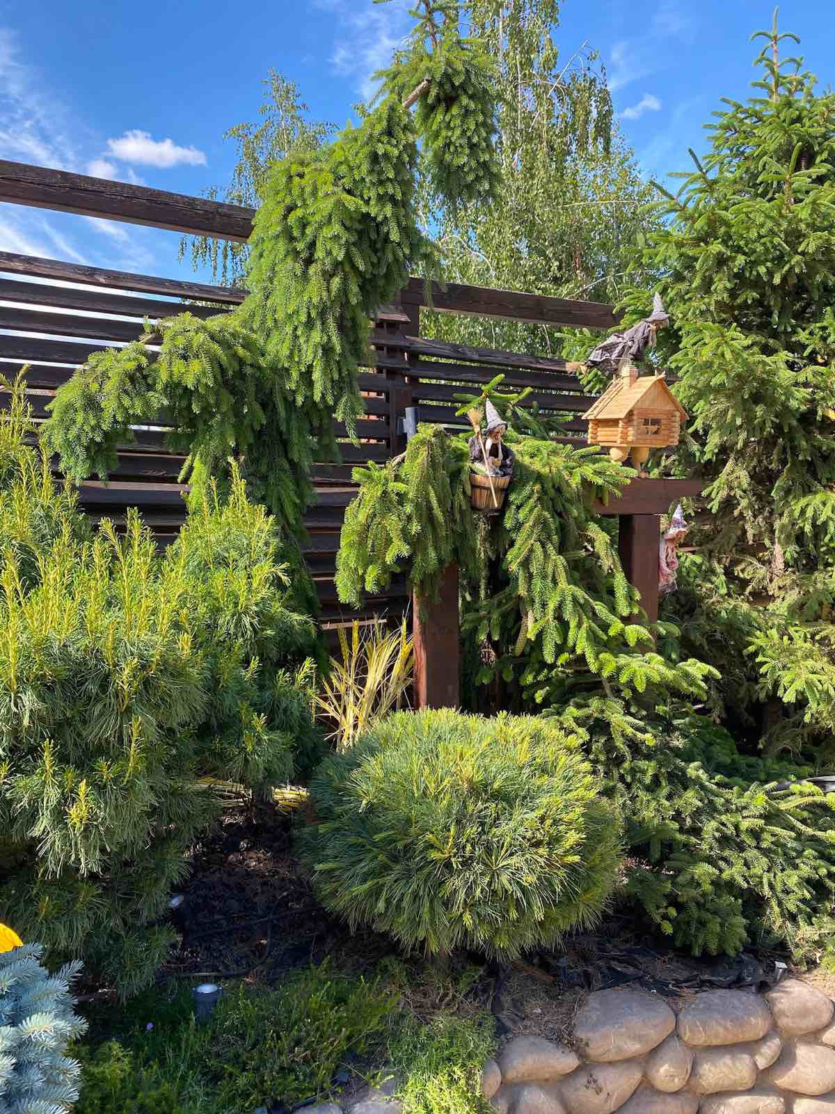 В гостях: Загадочный сад в Херсоне на 12 сотках