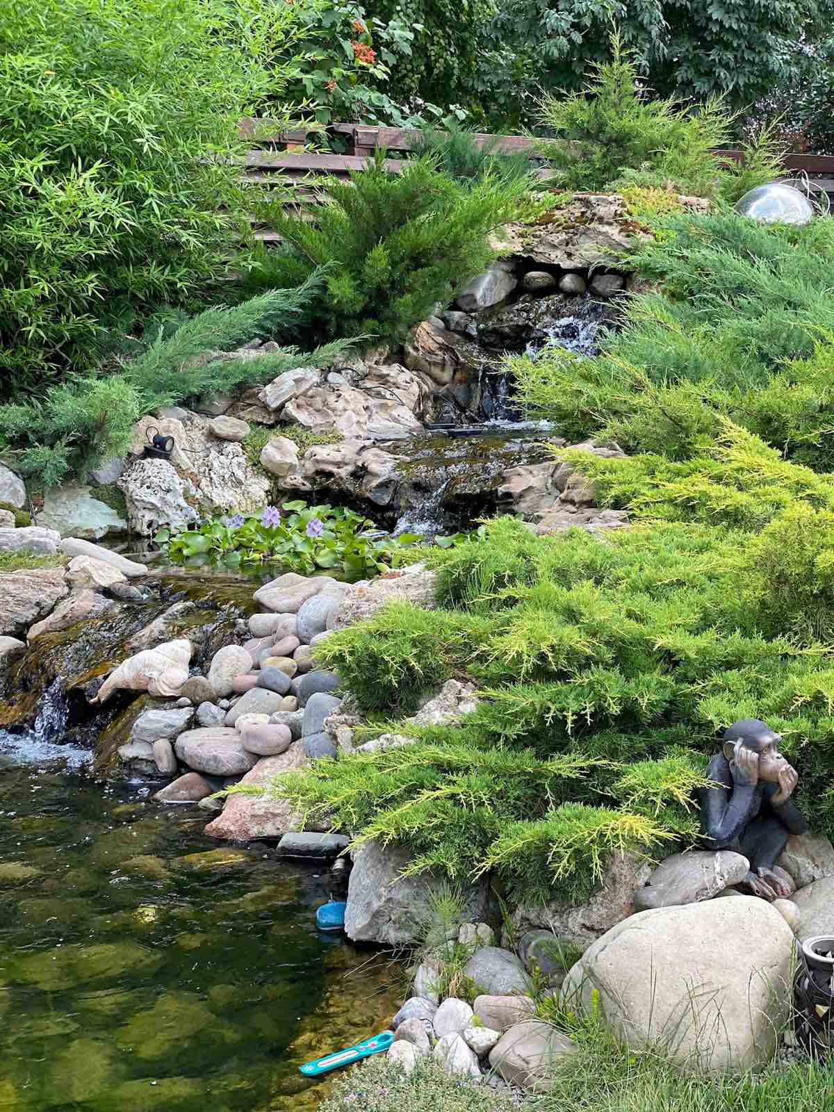 В гостях: Загадочный сад в Херсоне на 12 сотках