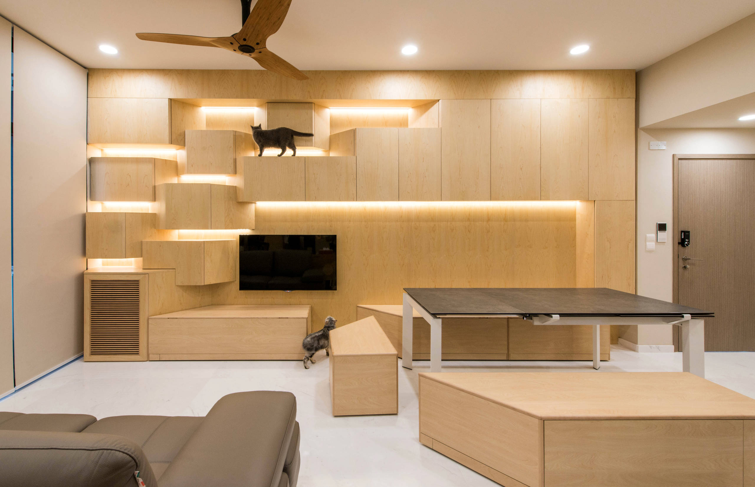 Фотоохота: Домики для кошек своими руками — 40 идей