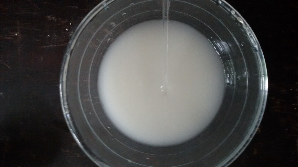 Своими руками: Гипсовые цветы для праздничной сервировки