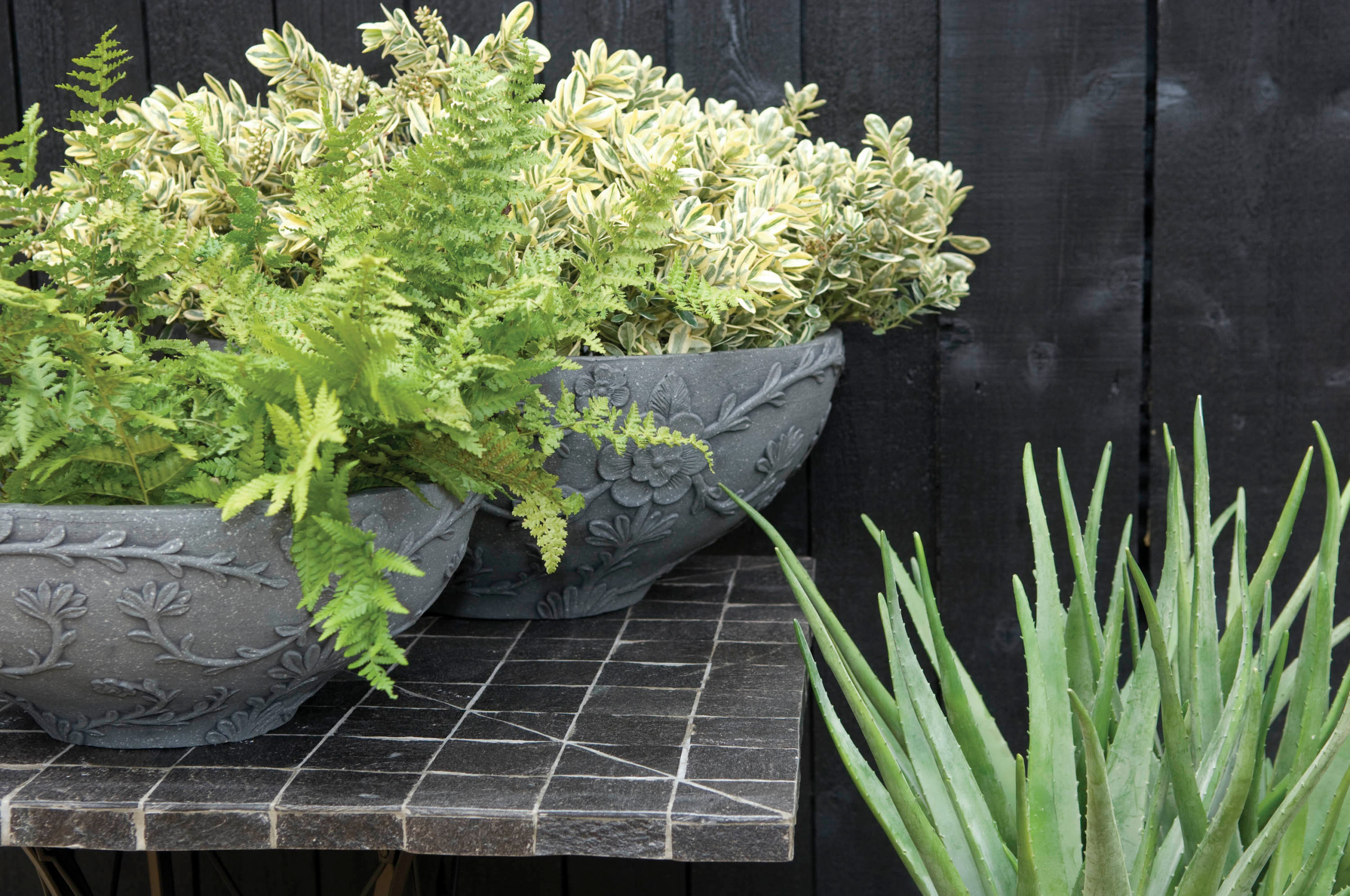 Причудливый узор: Как использовать орнамент в ландшафте