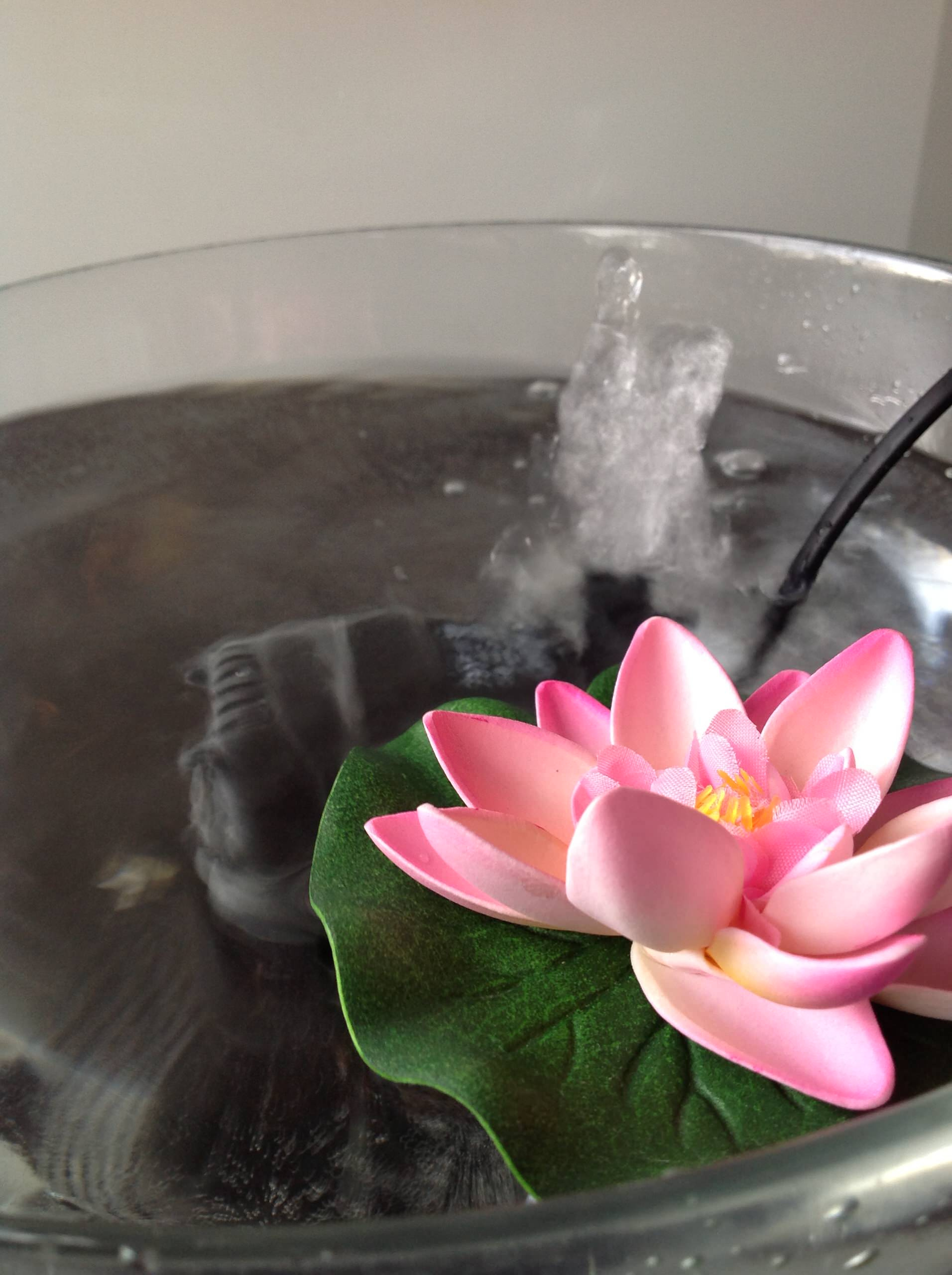 Тайный феншуй: 12 вещей, которые работают незаметно для гостей