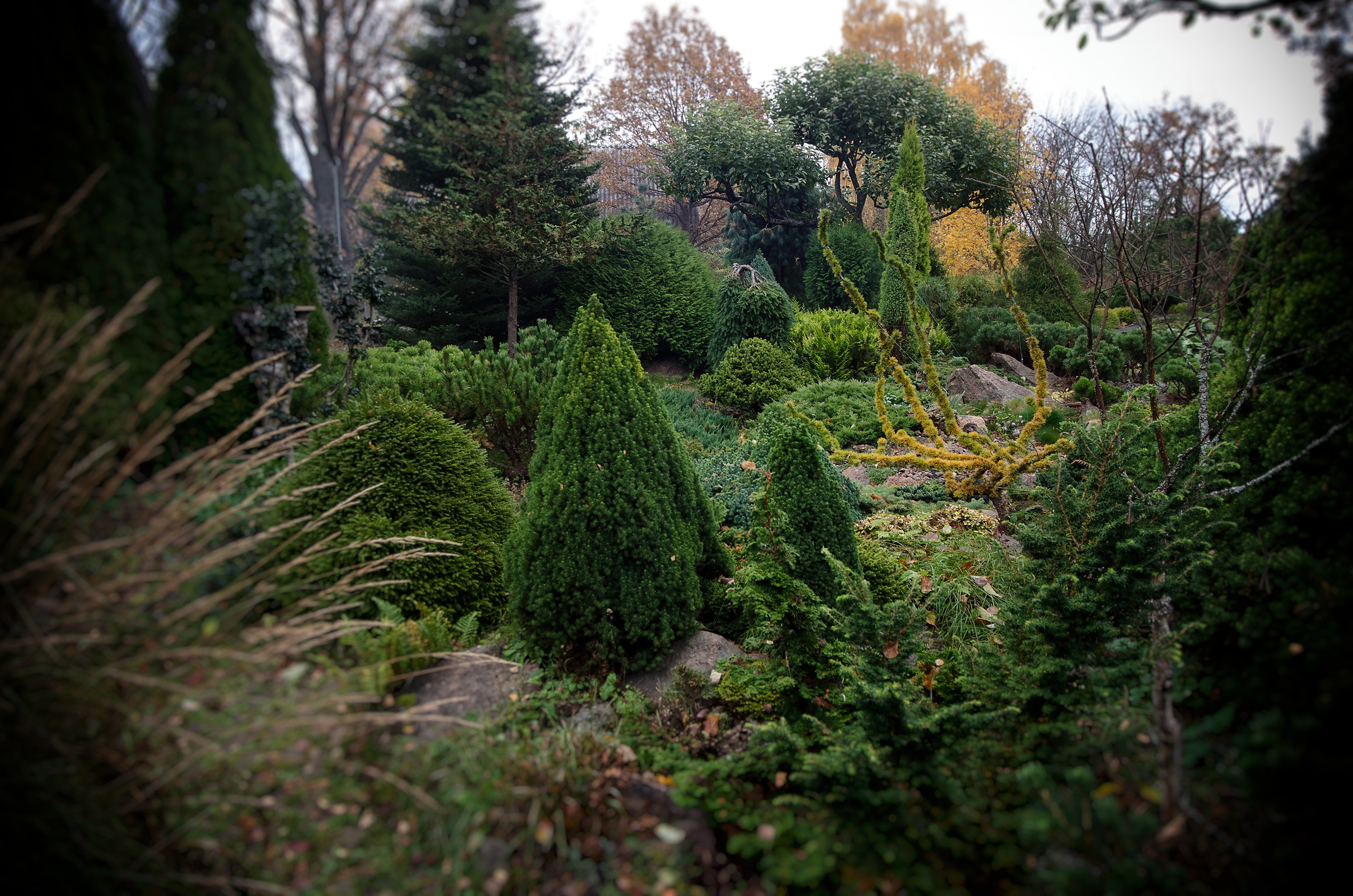 Houzz тур: Хвойный сад на Карельском перешейке