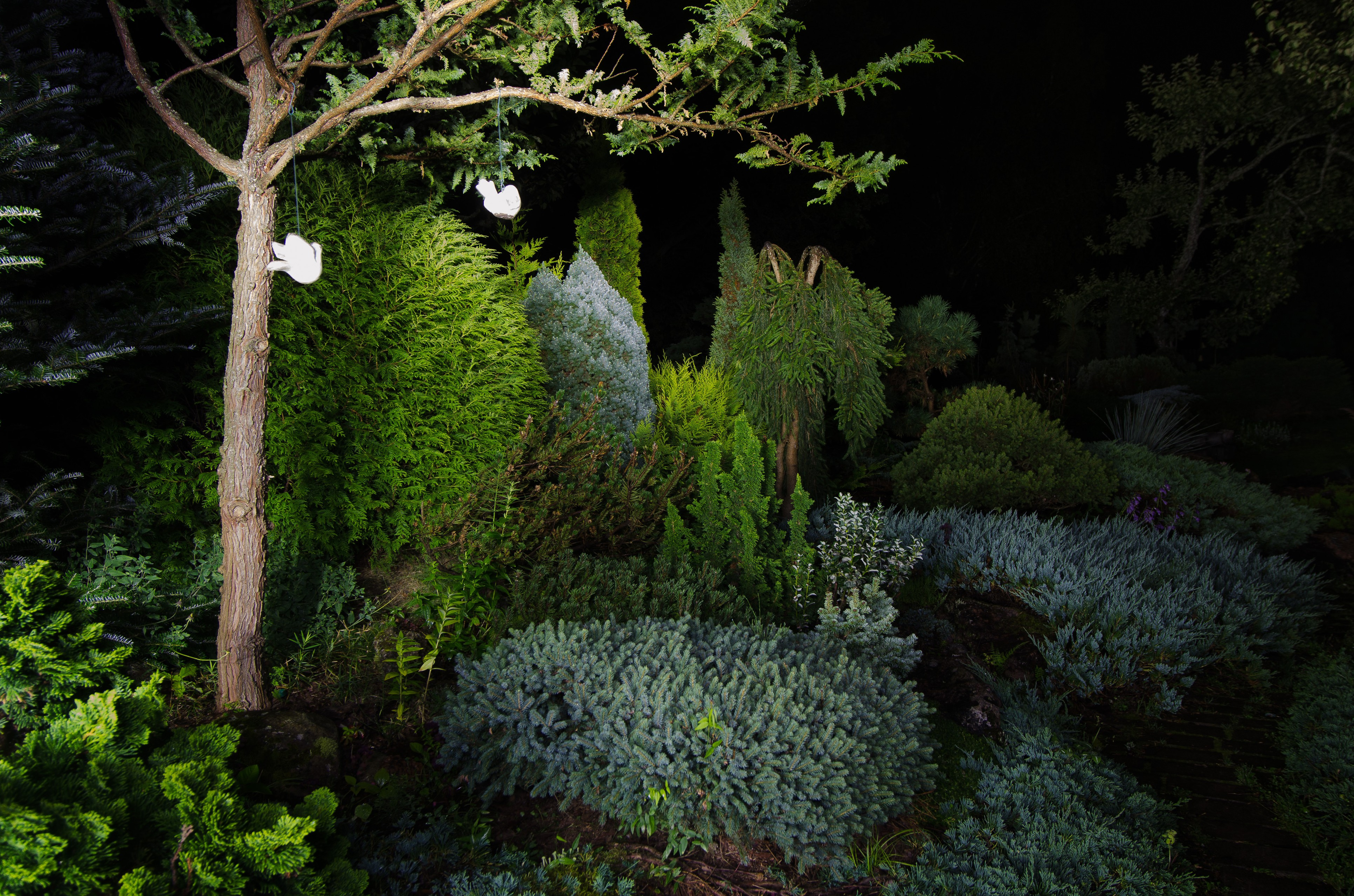 Houzz тур: Хвойный сад на Карельском перешейке