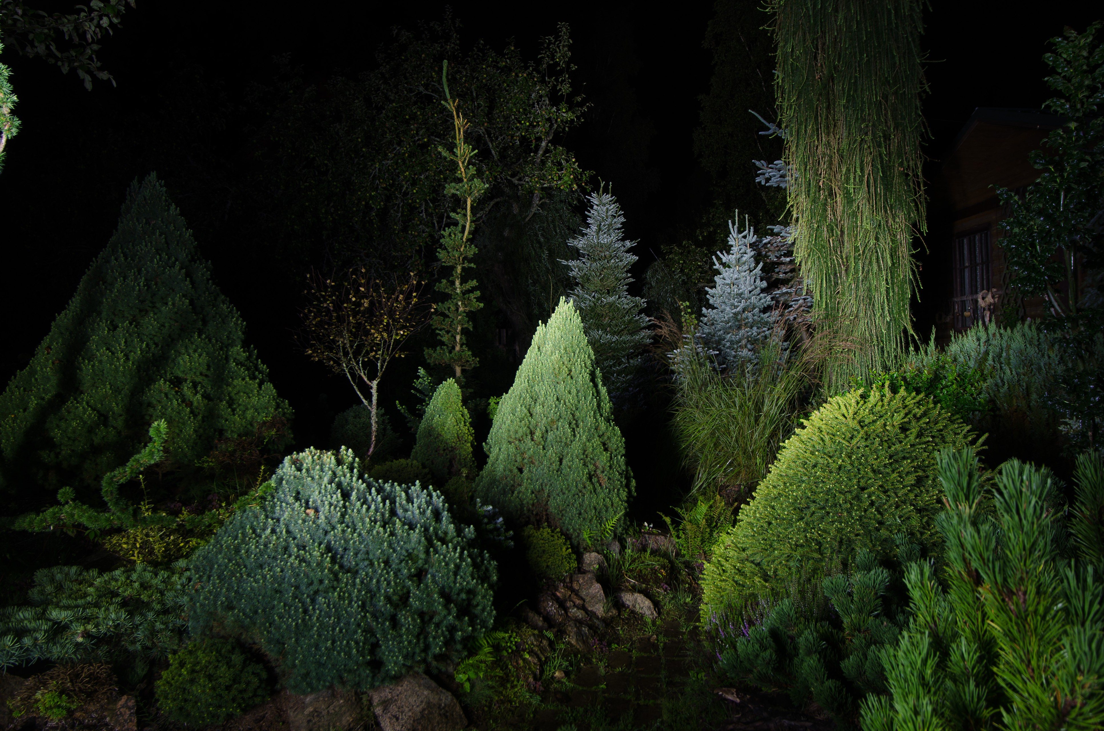 Houzz тур: Хвойный сад на Карельском перешейке