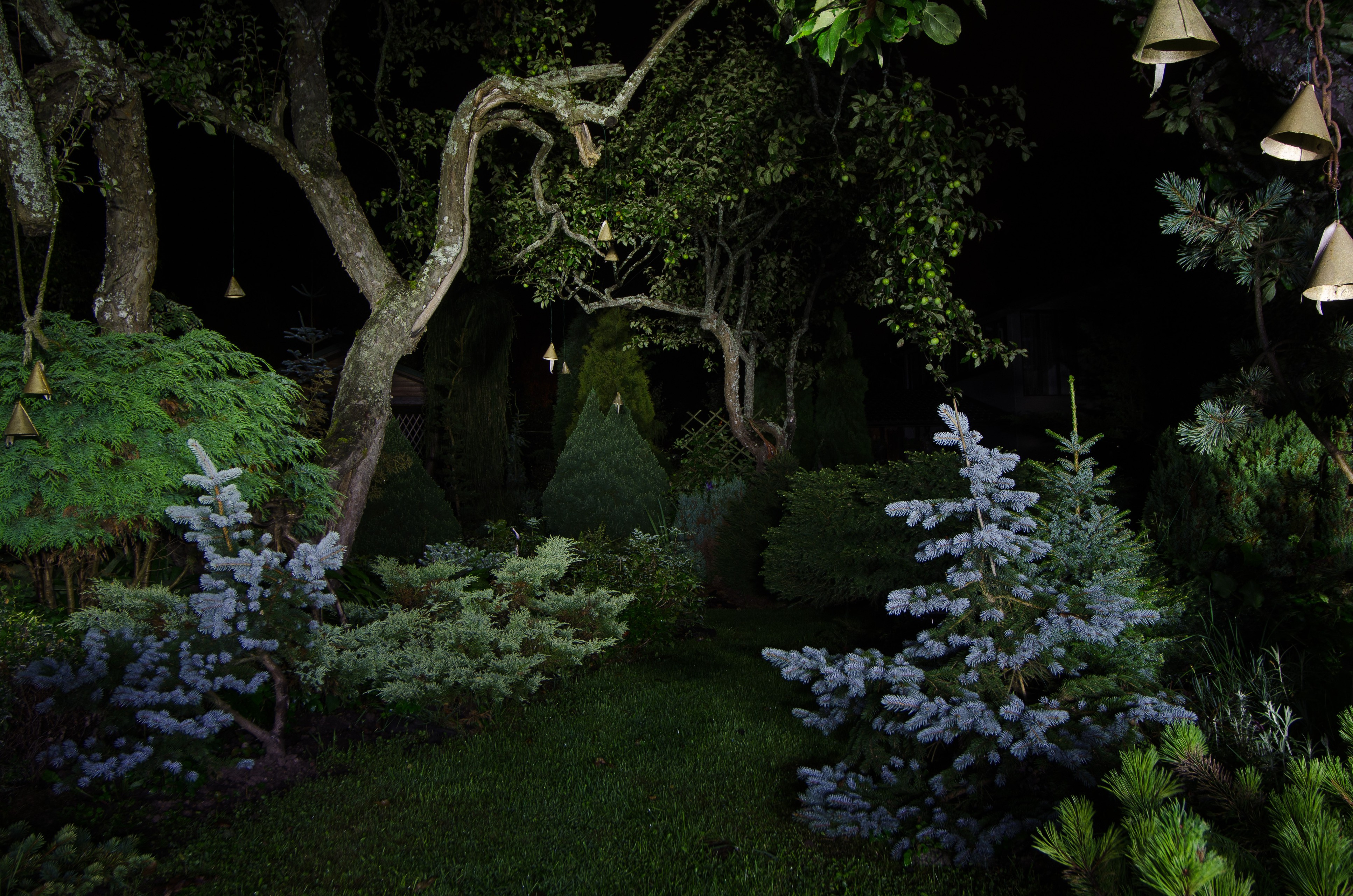 Houzz тур: Хвойный сад на Карельском перешейке