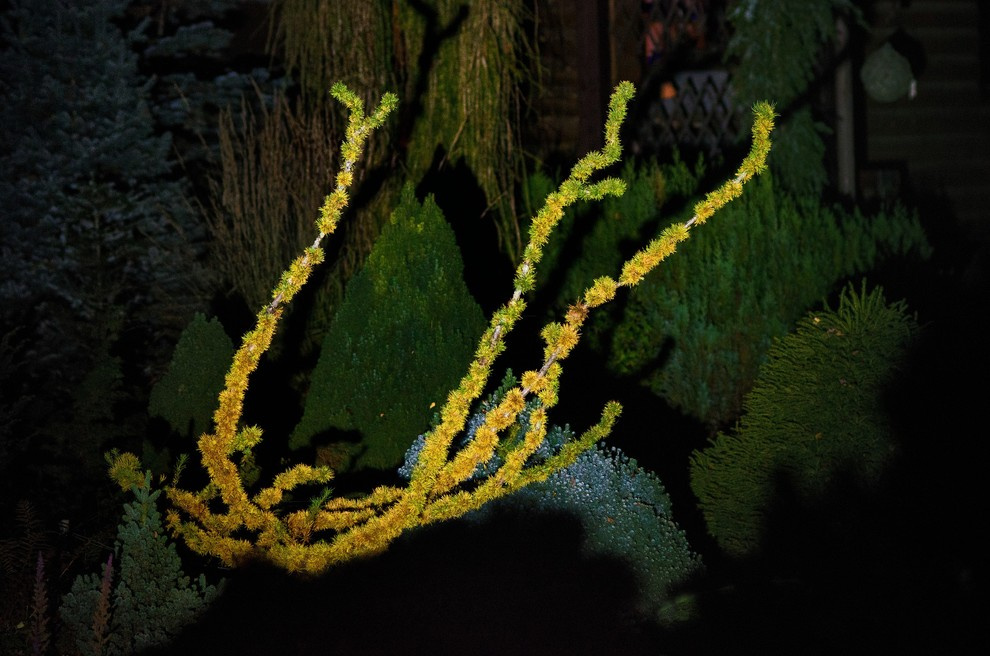 Houzz тур: Хвойный сад на Карельском перешейке