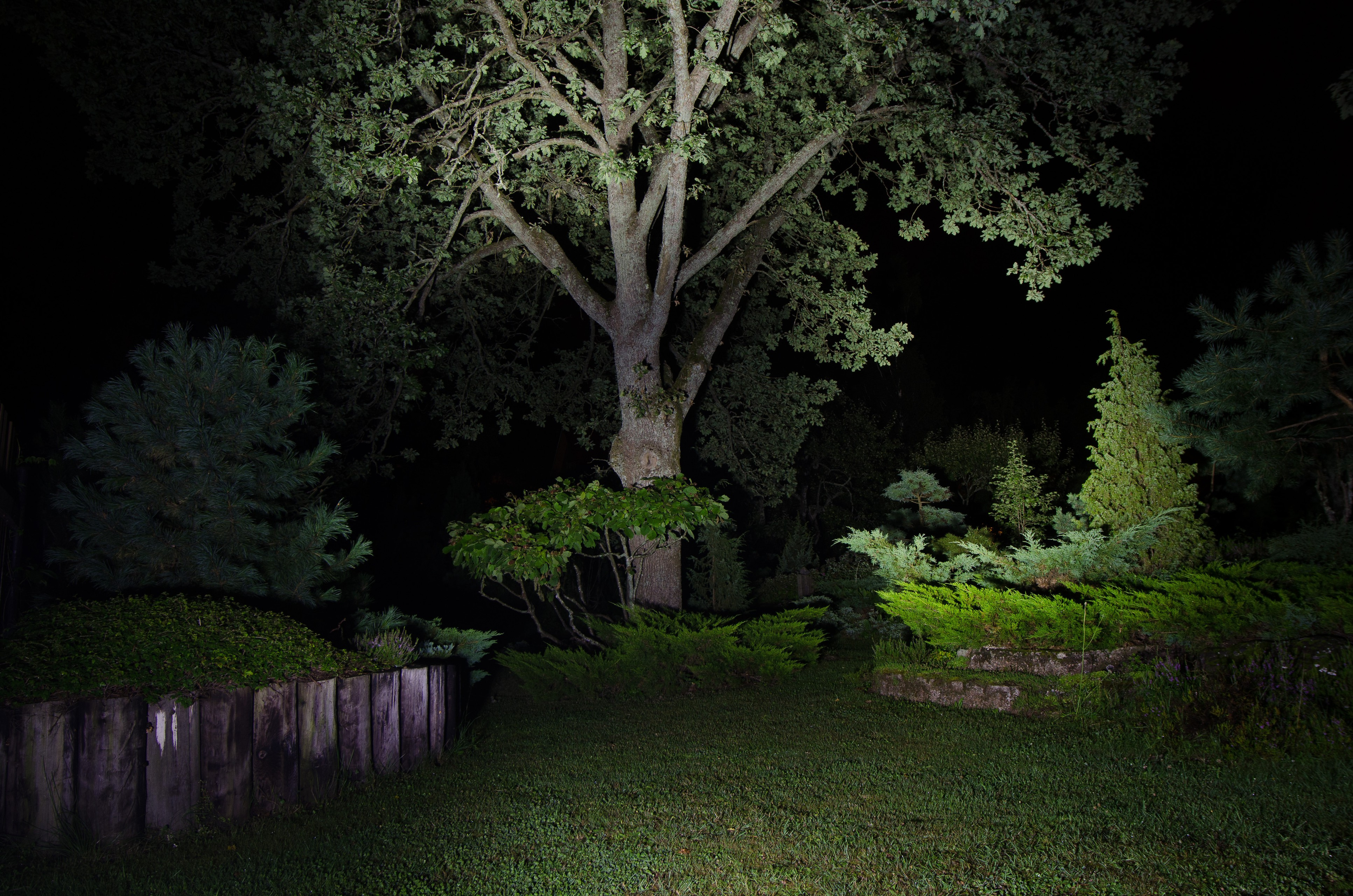 Houzz тур: Хвойный сад на Карельском перешейке