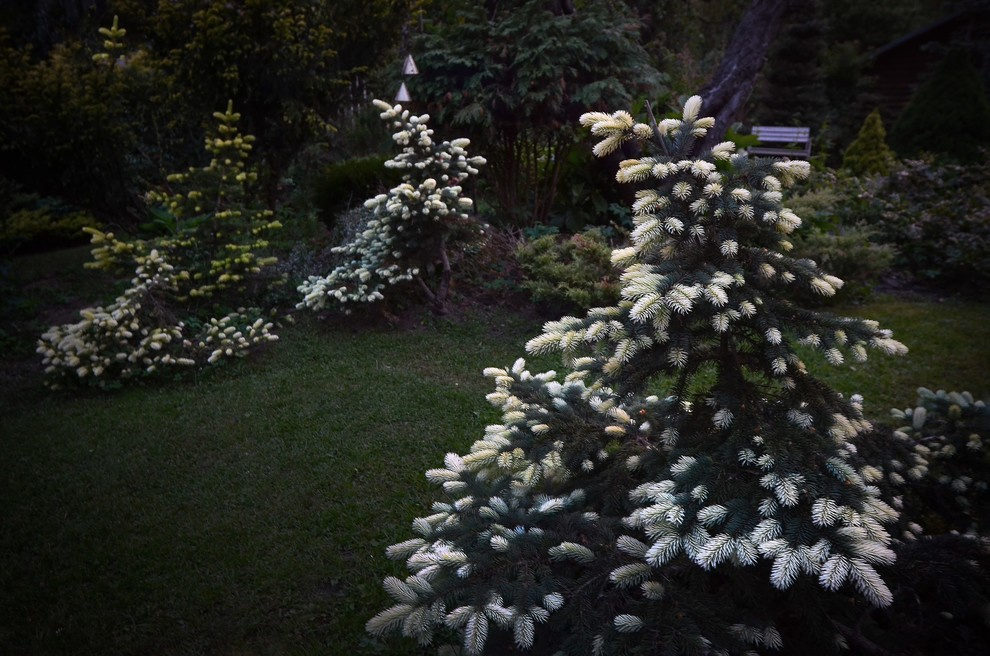 Сад 20 соток: 7 проектов российских ландшафтных дизайнеров