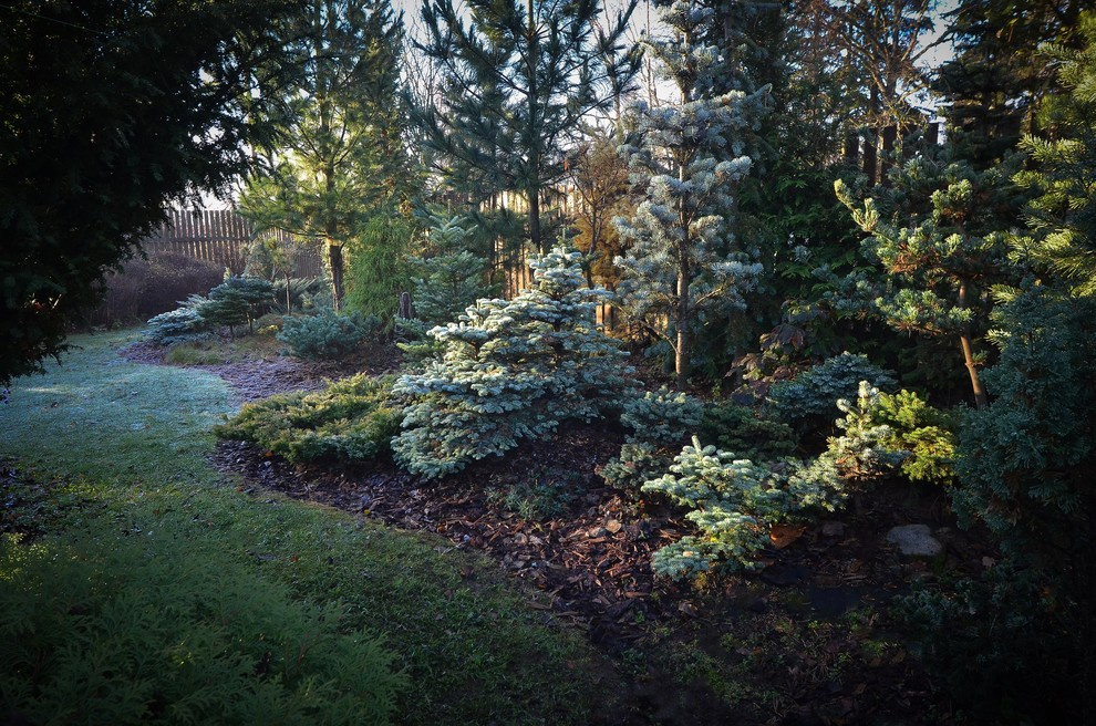 Houzz тур: Хвойный сад на Карельском перешейке