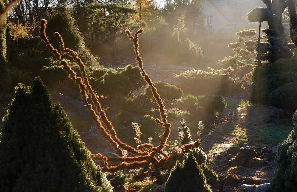 Сад 20 соток: 7 проектов российских ландшафтных дизайнеров