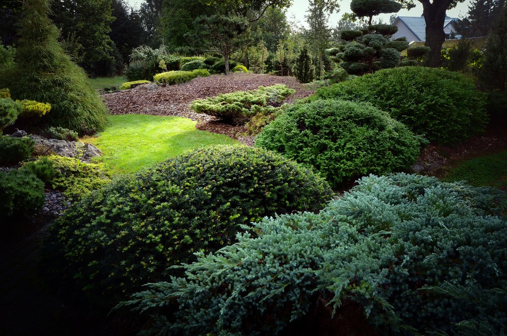 Houzz тур: Хвойный сад на Карельском перешейке