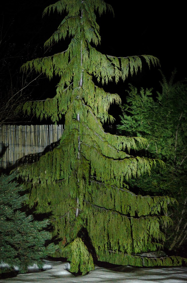 Houzz тур: Хвойный сад на Карельском перешейке