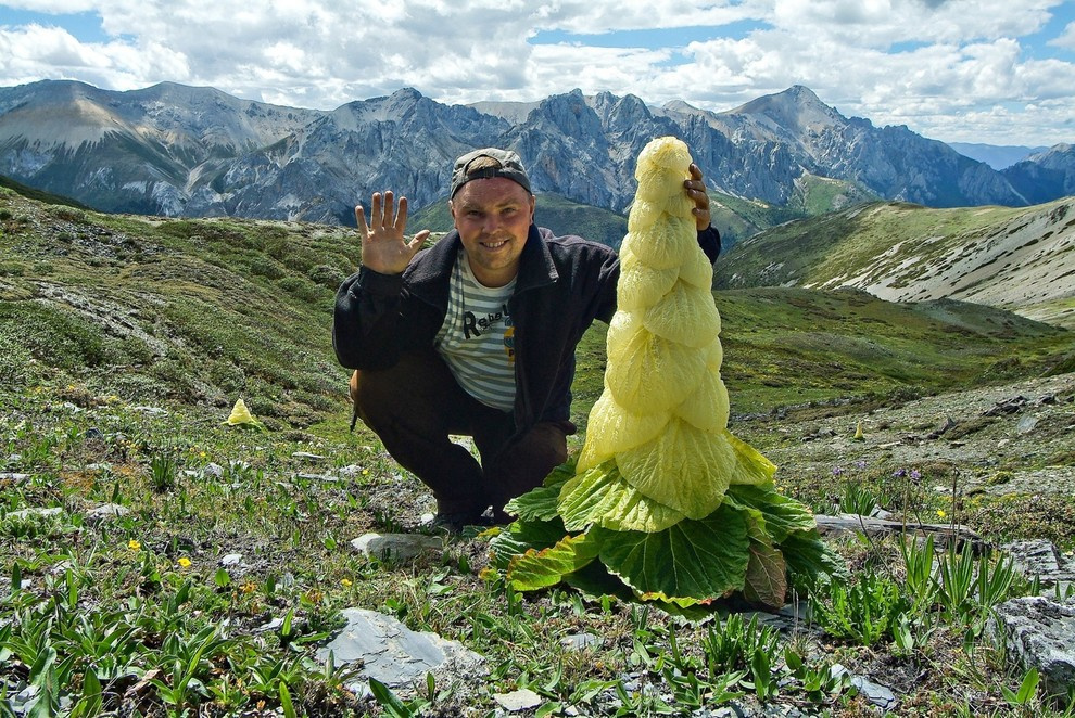 Houzz тур: Хвойный сад на Карельском перешейке