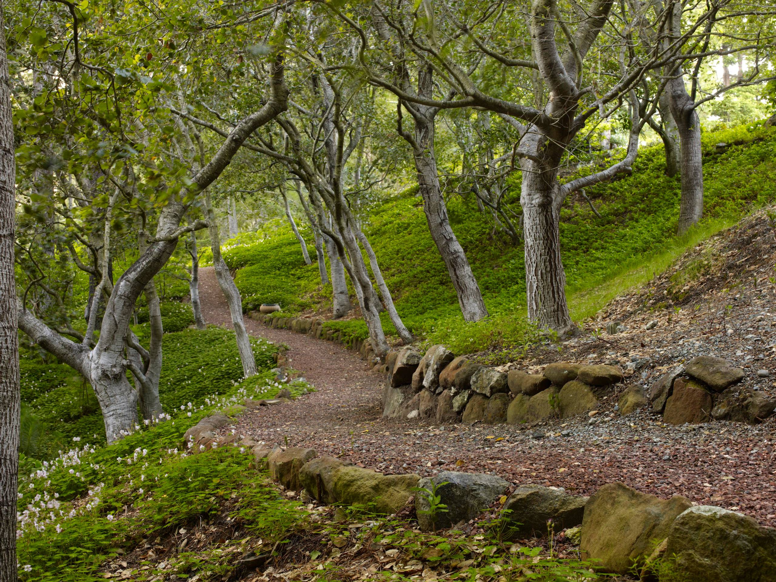 Вопрос: Как сделать свой сад привлекательным для птиц