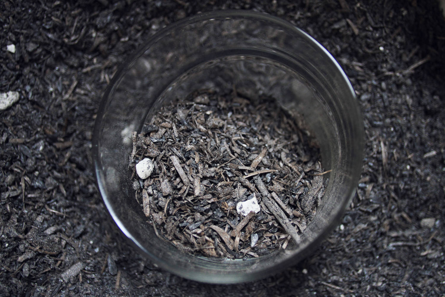 Houzz Австрия: Дом на колесах площадью 25 квадратных метров