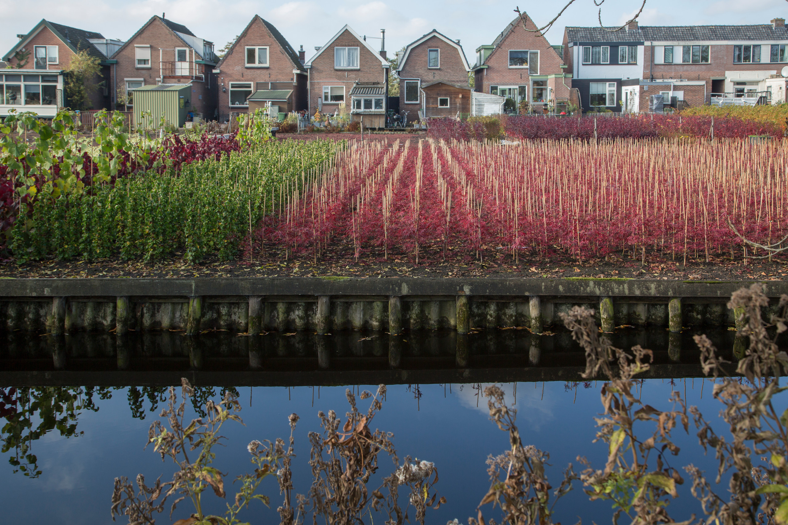 Houzz Нидерланды: Новая жизнь в старинном особняке