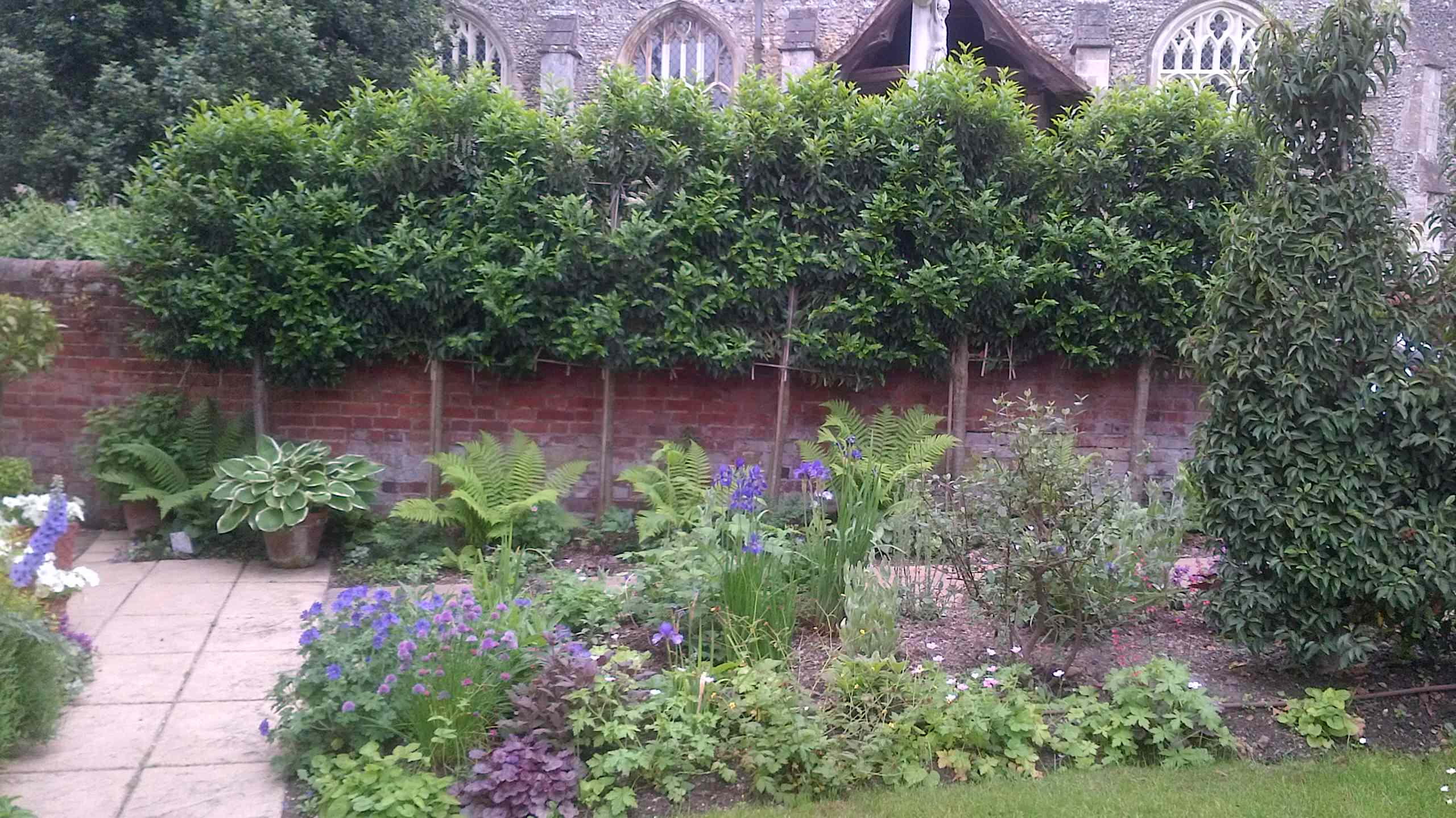 Проблема и решение: Как сделать сад менее заметным для соседей