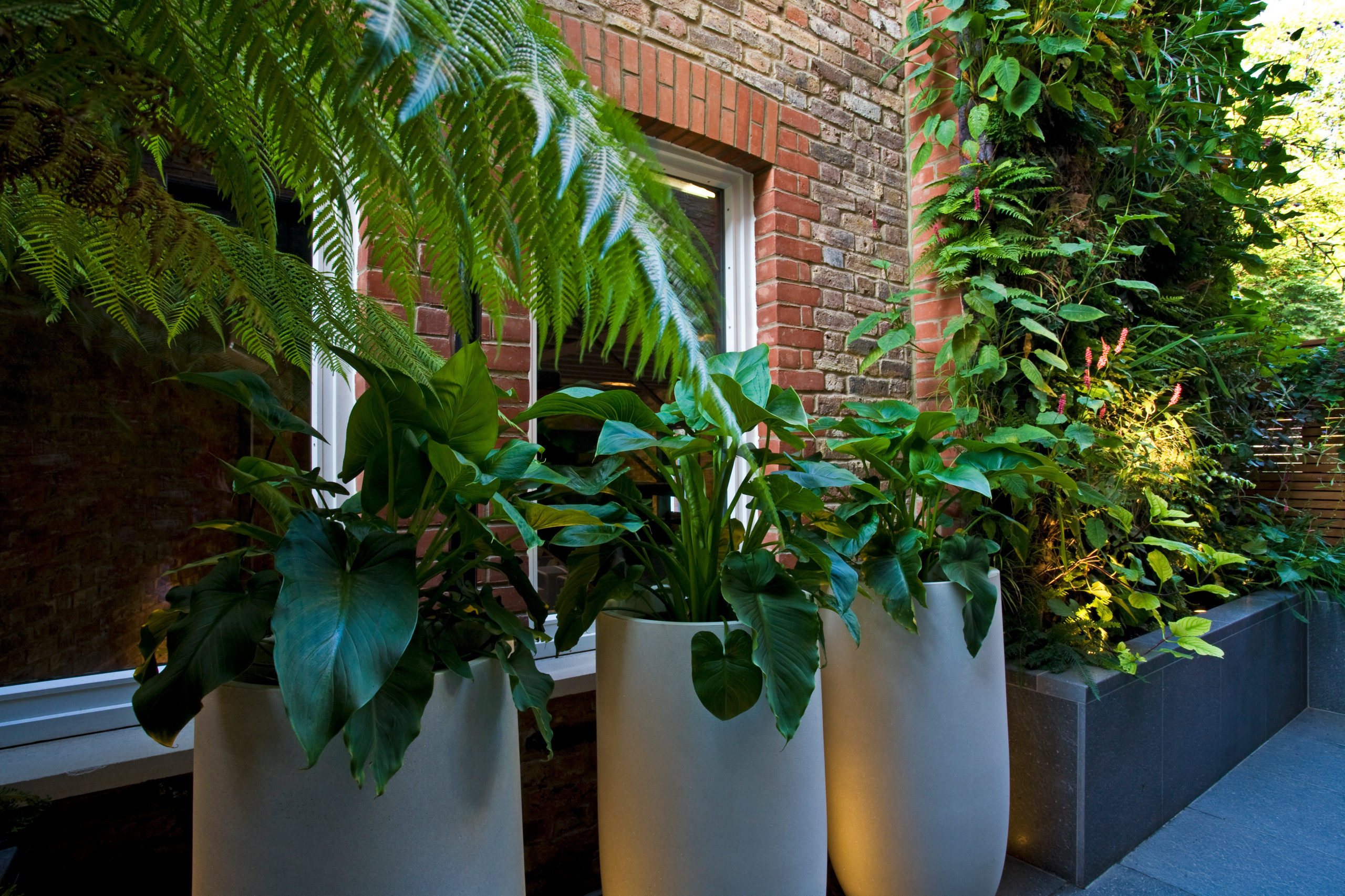 Проблема и решение: Как сделать сад менее заметным для соседей